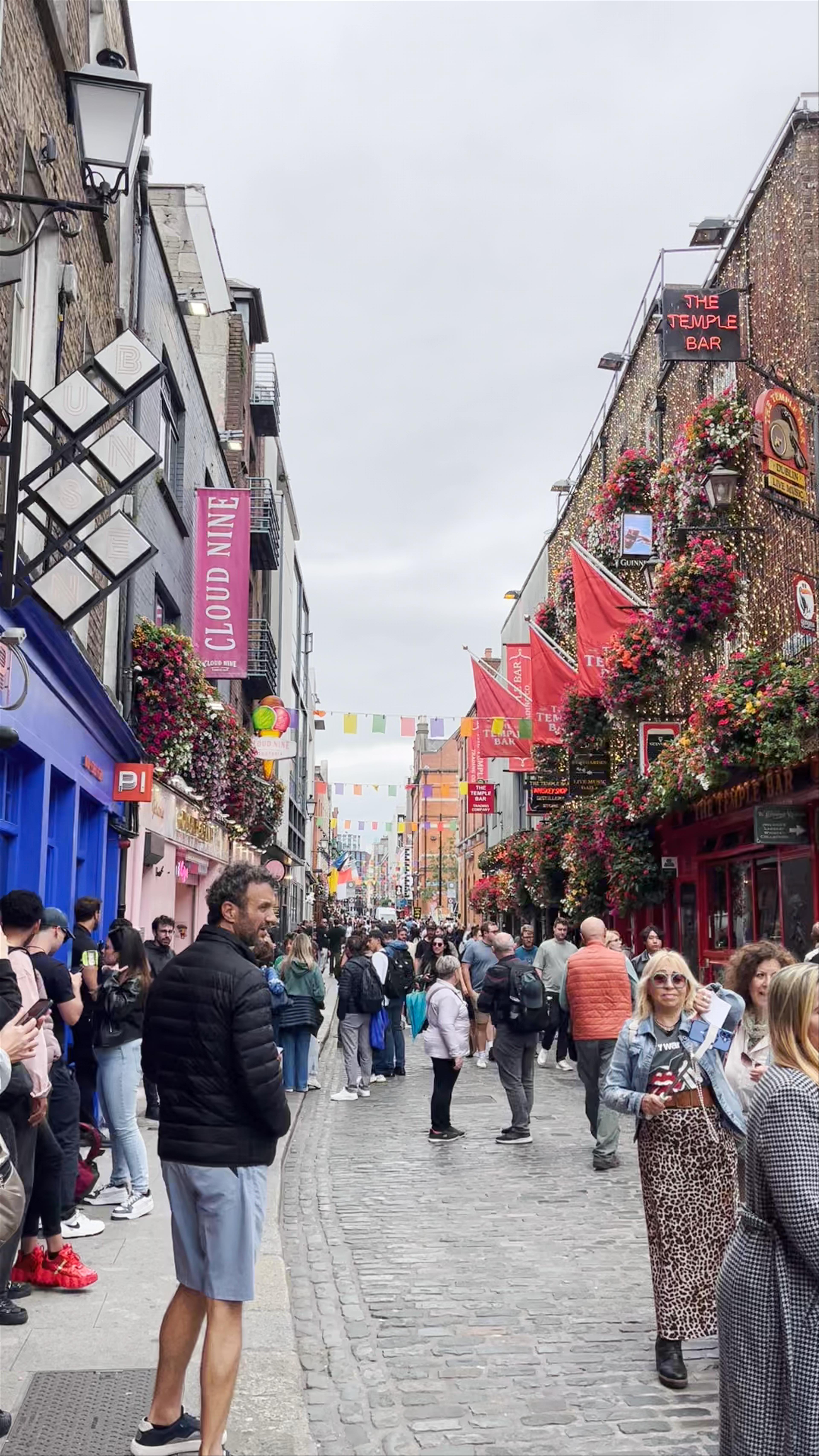 The Temple Bar Pub