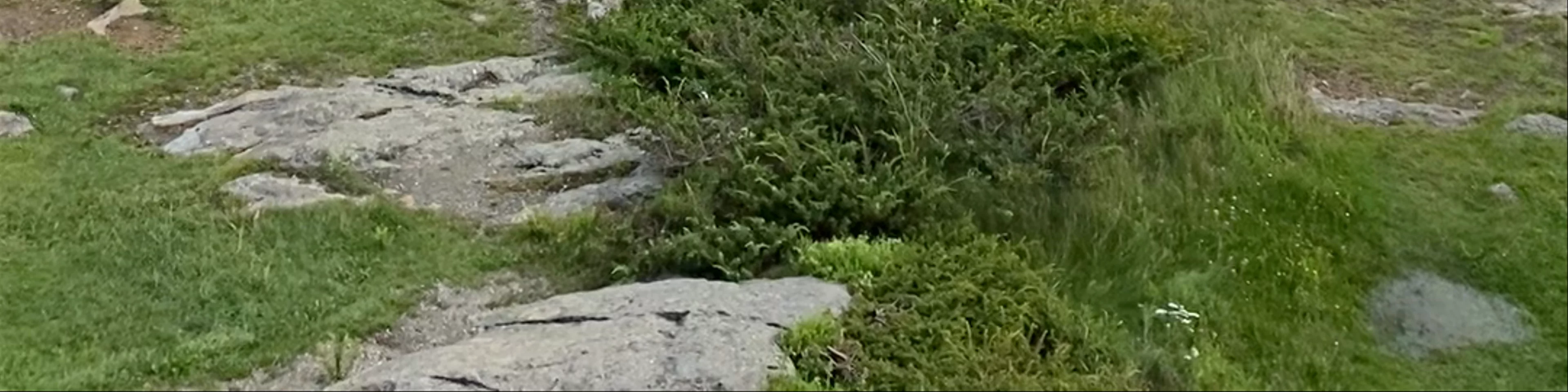 Mount Battie Trail