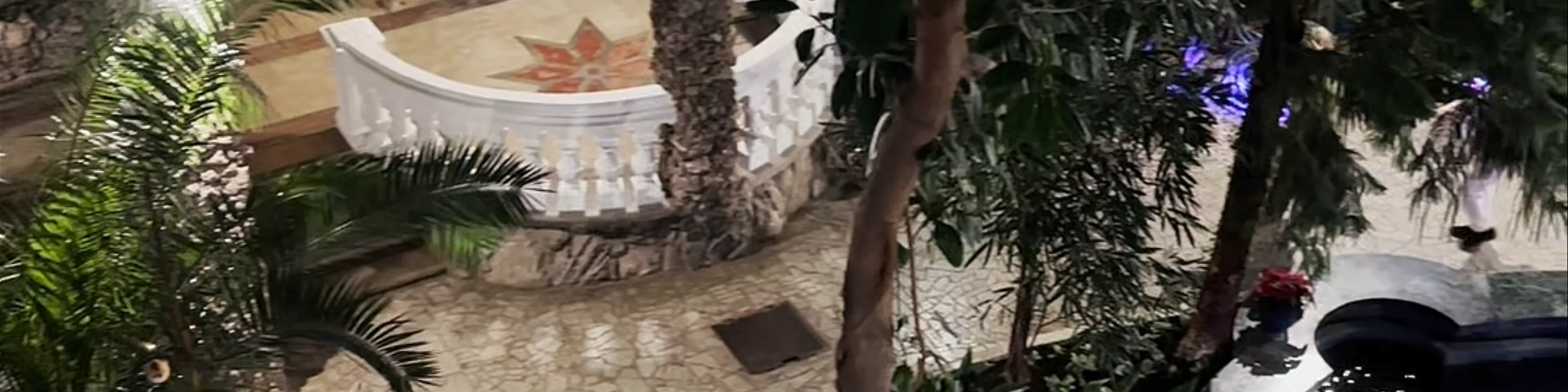 Winter Garden