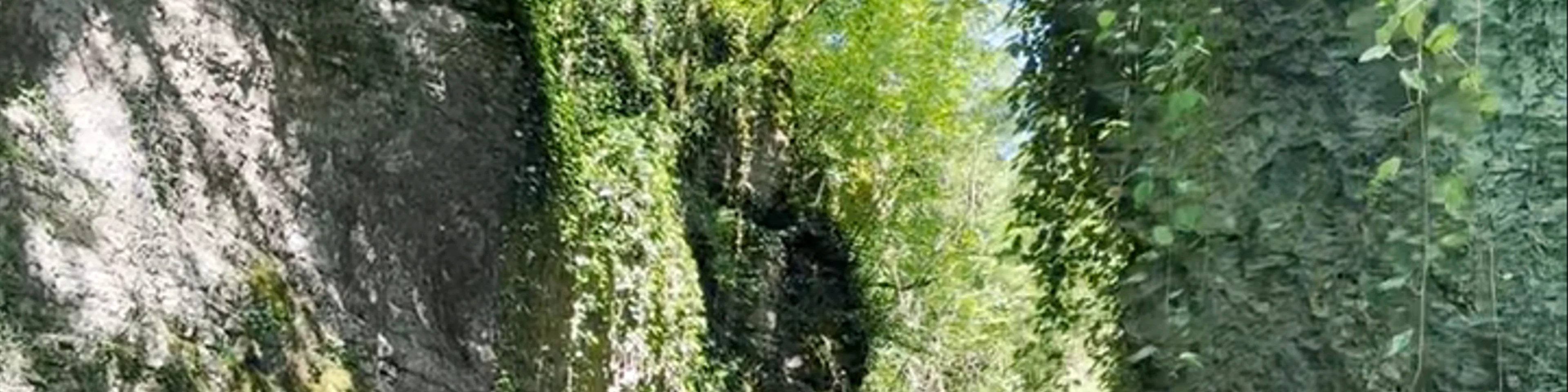 Martvili Canyon