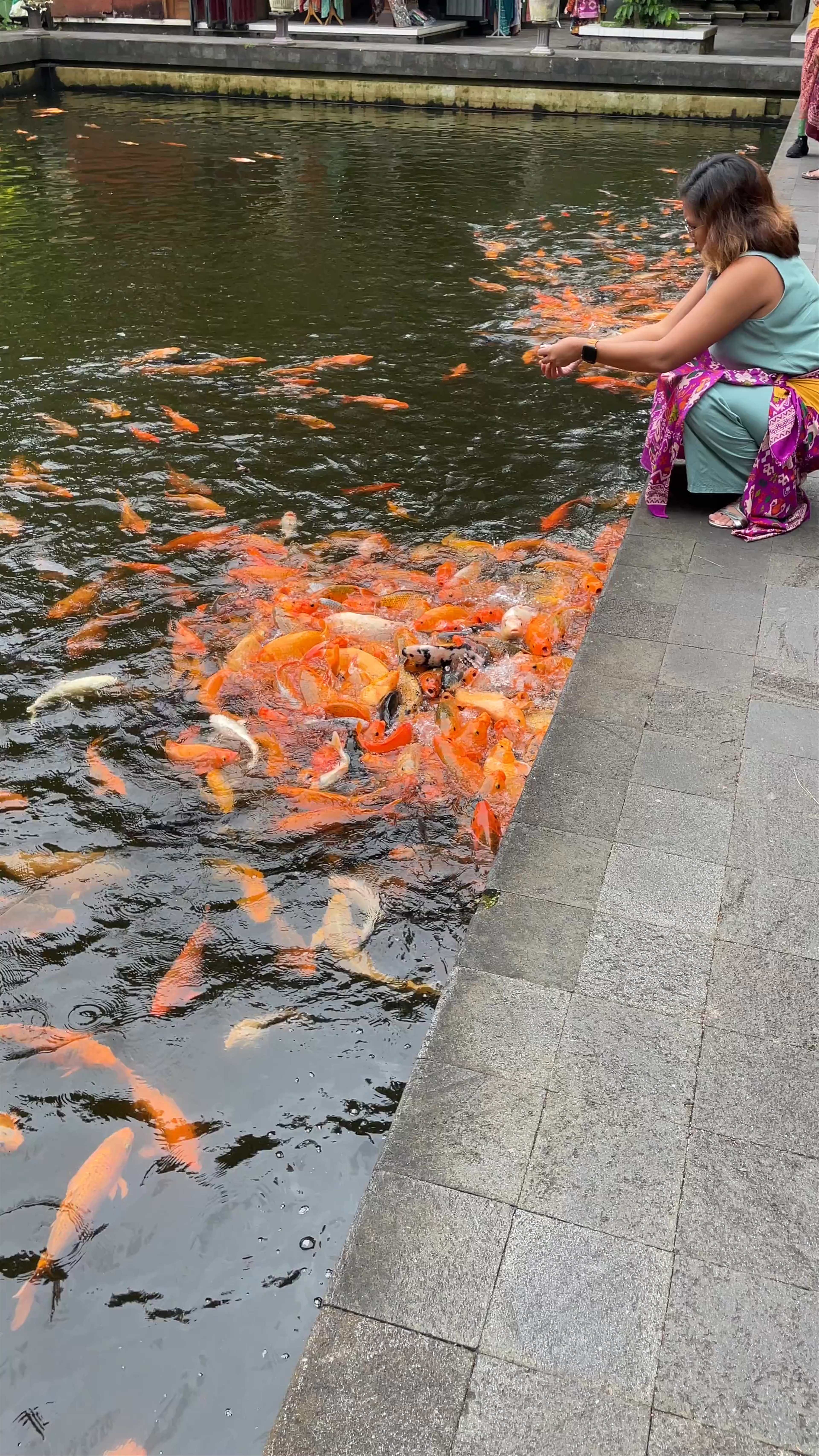 Feeding Koi Fish at Pura Tirta Empul, Bali