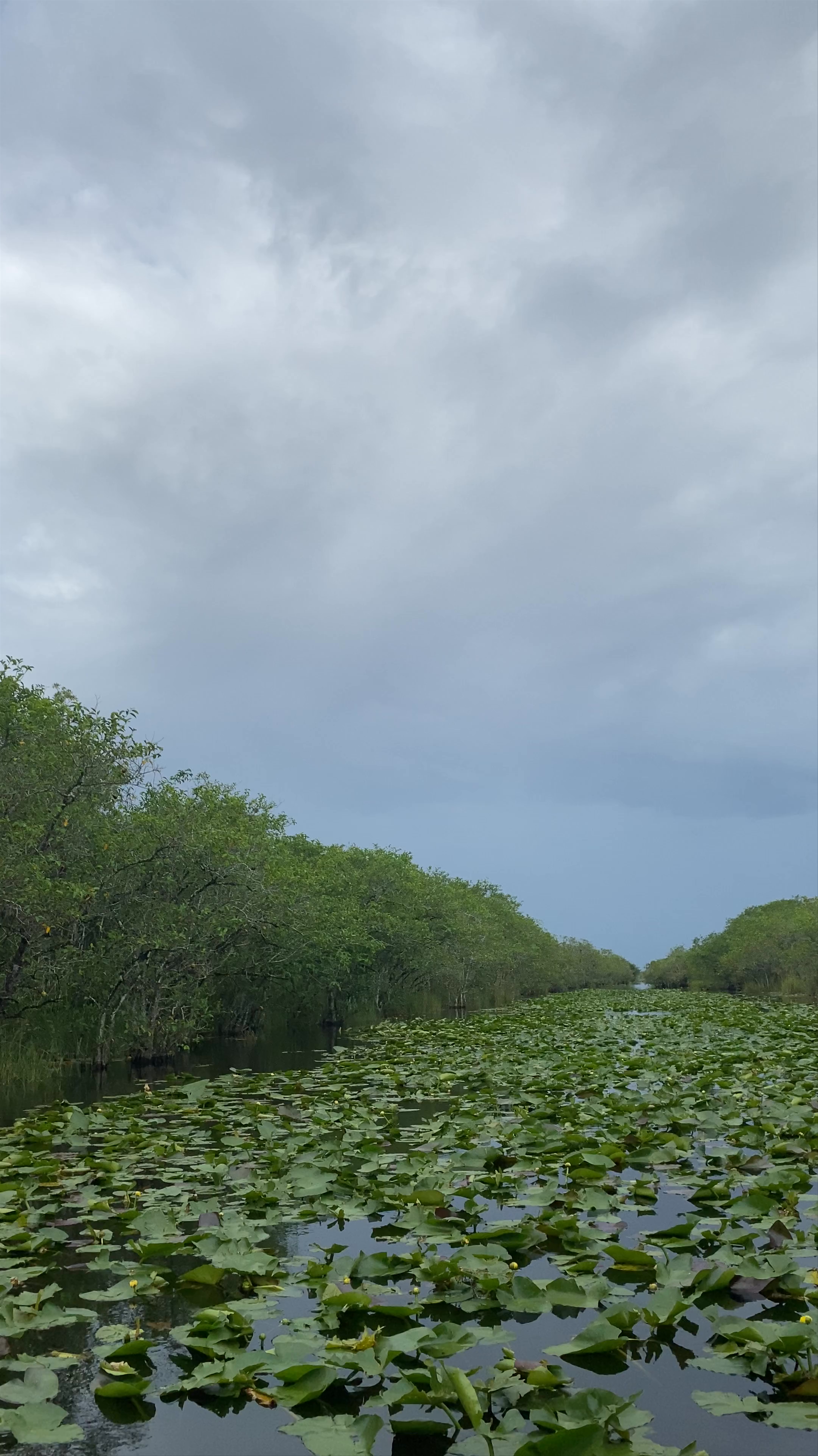 Coopertown The Original Airboat Tour of Everglades National Park