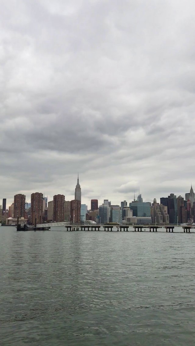 Vertical view of NYC