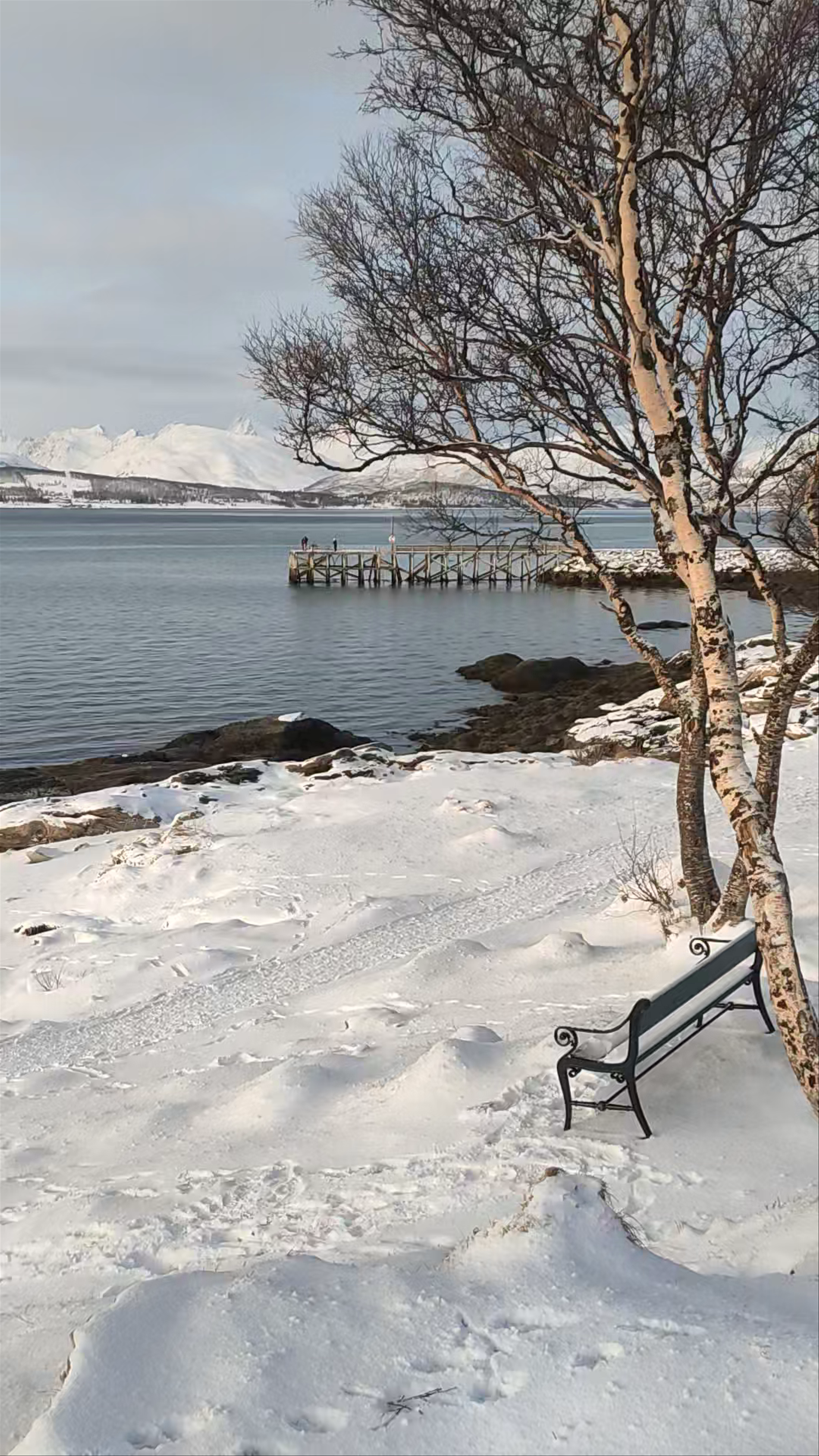 Winter Serenity at Telegrafbukta Treningspark, Tromsø