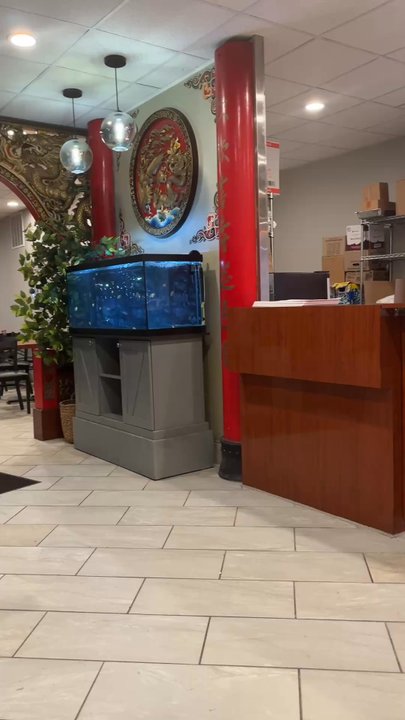 Foon Ying Chinese Restaurant - Remodeled - Chinese Near Me - Indianapolis, Indiana