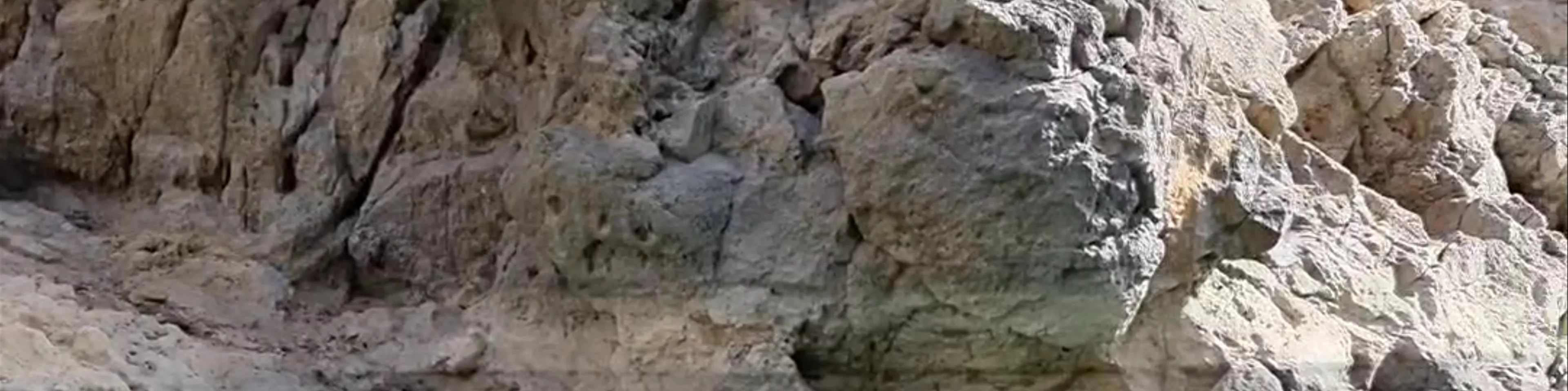Wadi Dhaiqah