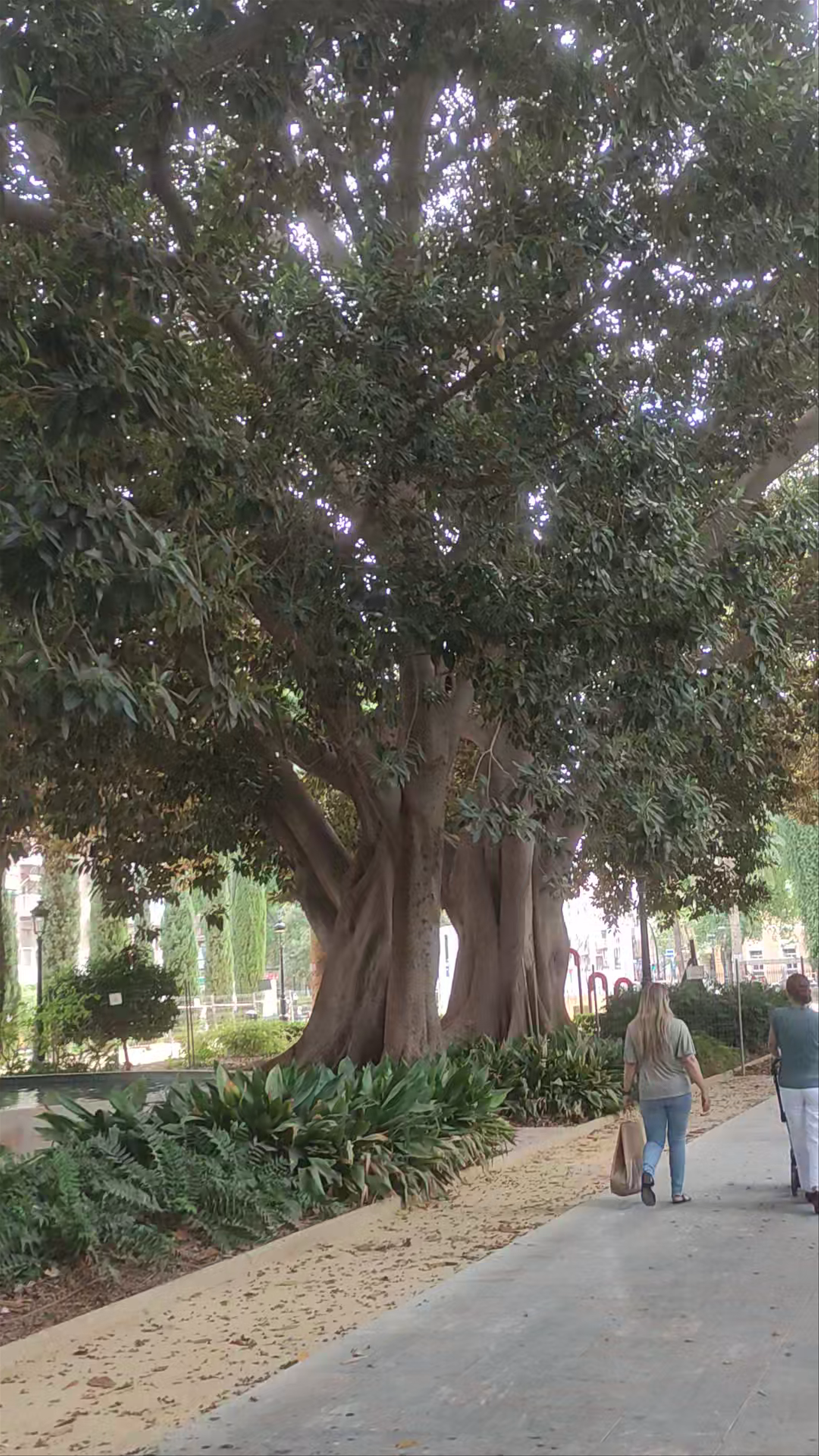 Strolling Through Jardín de Floridablanca in Murcia, Spain