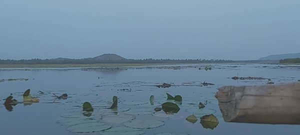 Photo of Fresh air from the f