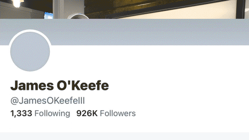 Video Thumbnail Loop