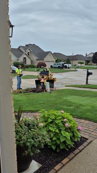 Tree Top Tree Service - Owner of Tree Top Tree Service is using a remote control to work his high tech Rayco Stump Grinder Machine at neighbor's house.  7/9/2025 - Tree Services Near Me - Macomb, Michigan