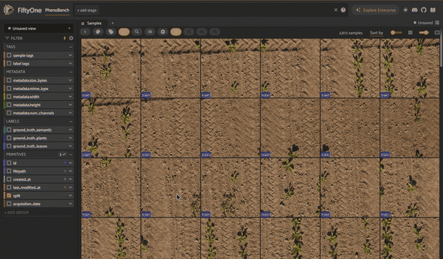PhenoBench sugar beet crop and weed segmentation samples in the FiftyOne app