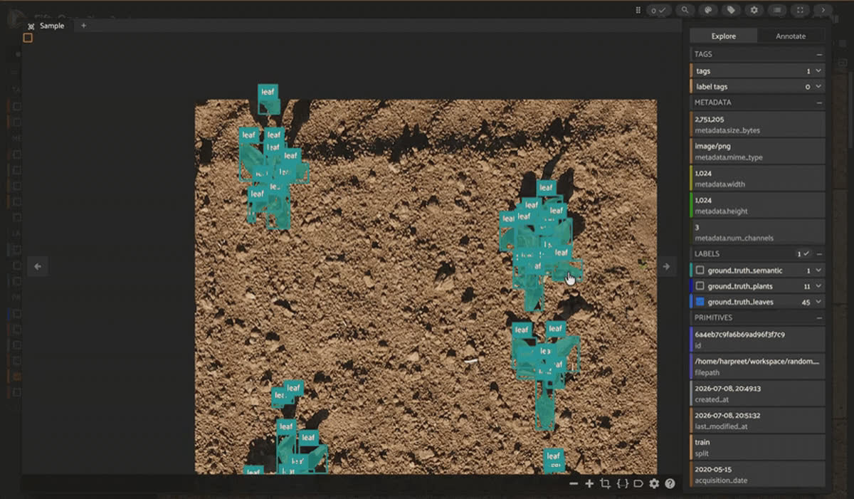 PhenoBench sugar beet crop and weed segmentation samples in the FiftyOne app