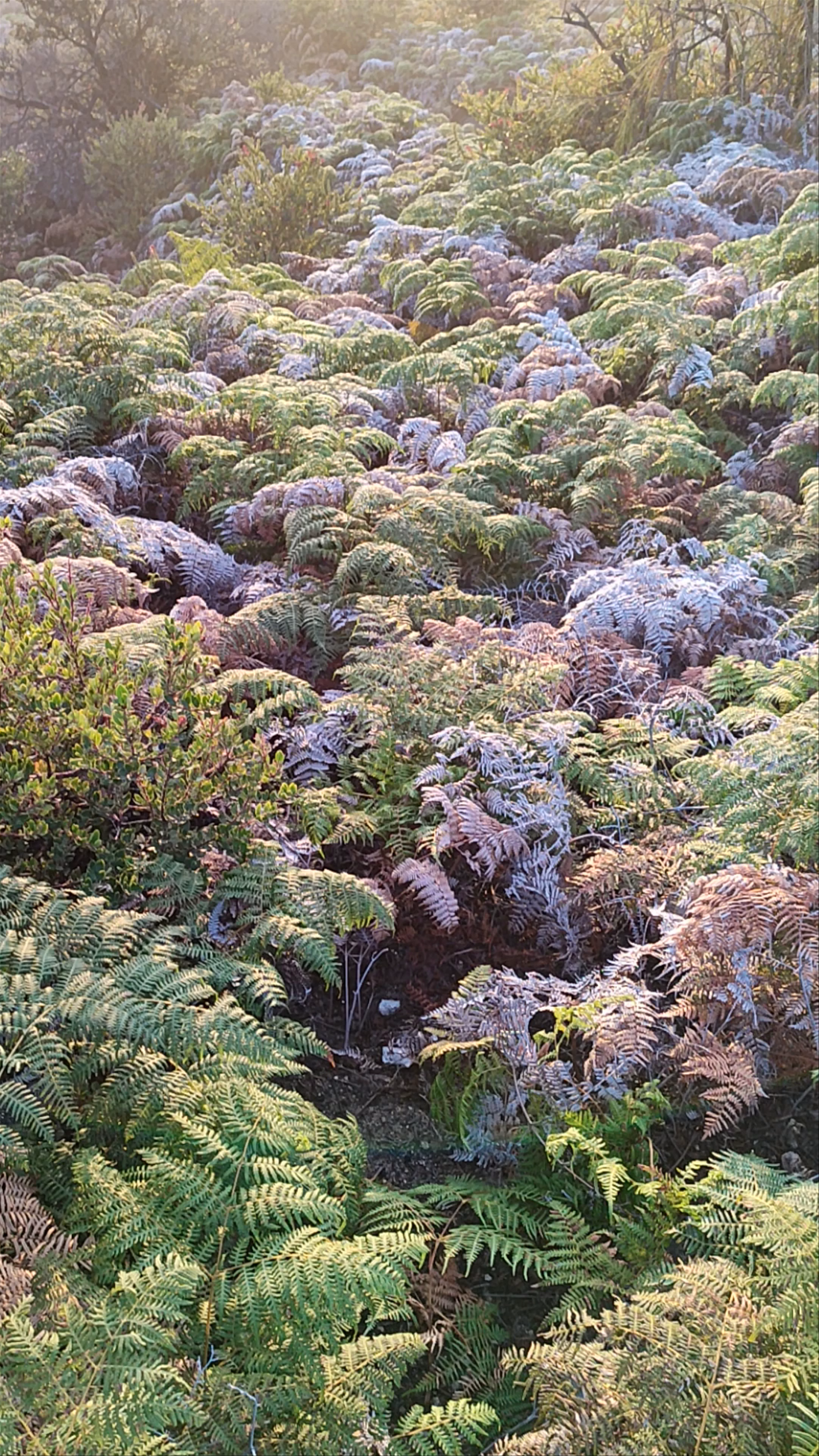 Sun Rise Spot Gunung Ijen