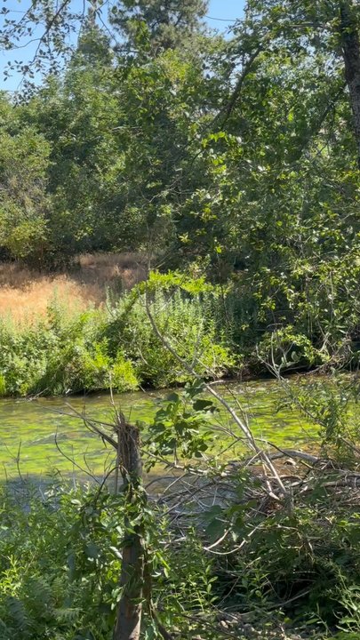 Annie Bidwell Trail - Hiking Near Me - Chico, California