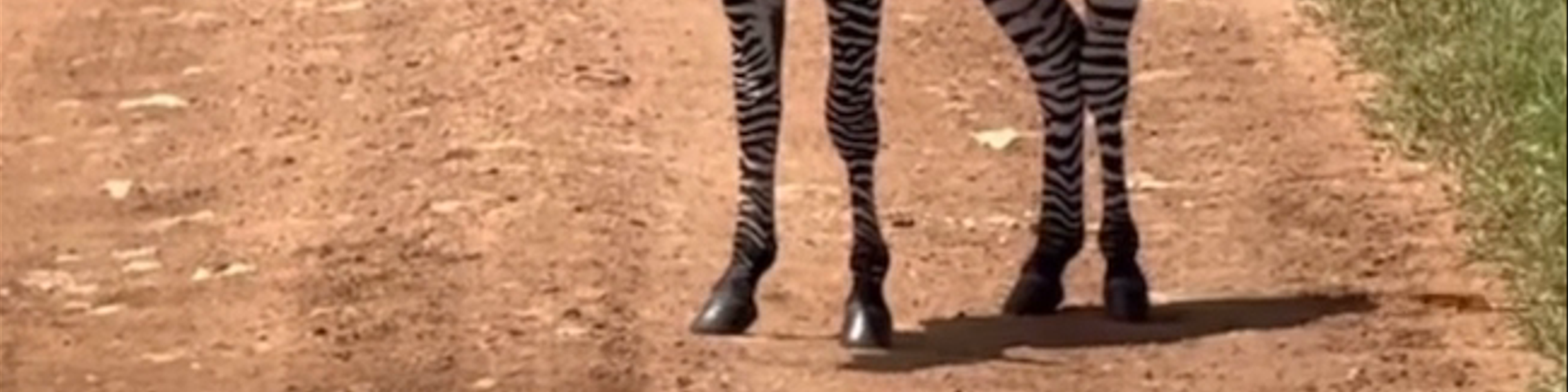 Tanzania