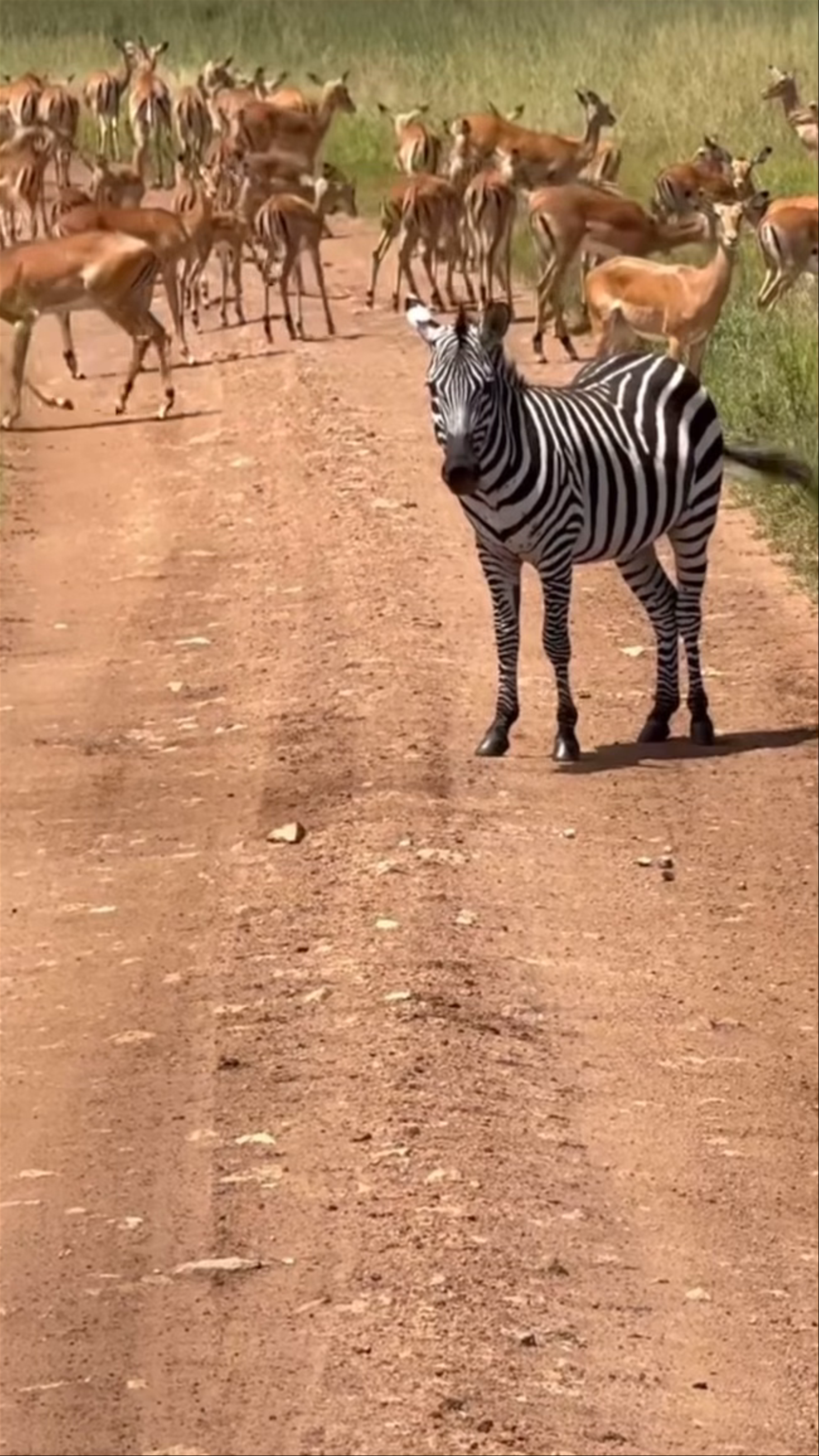 Serengeti National Park