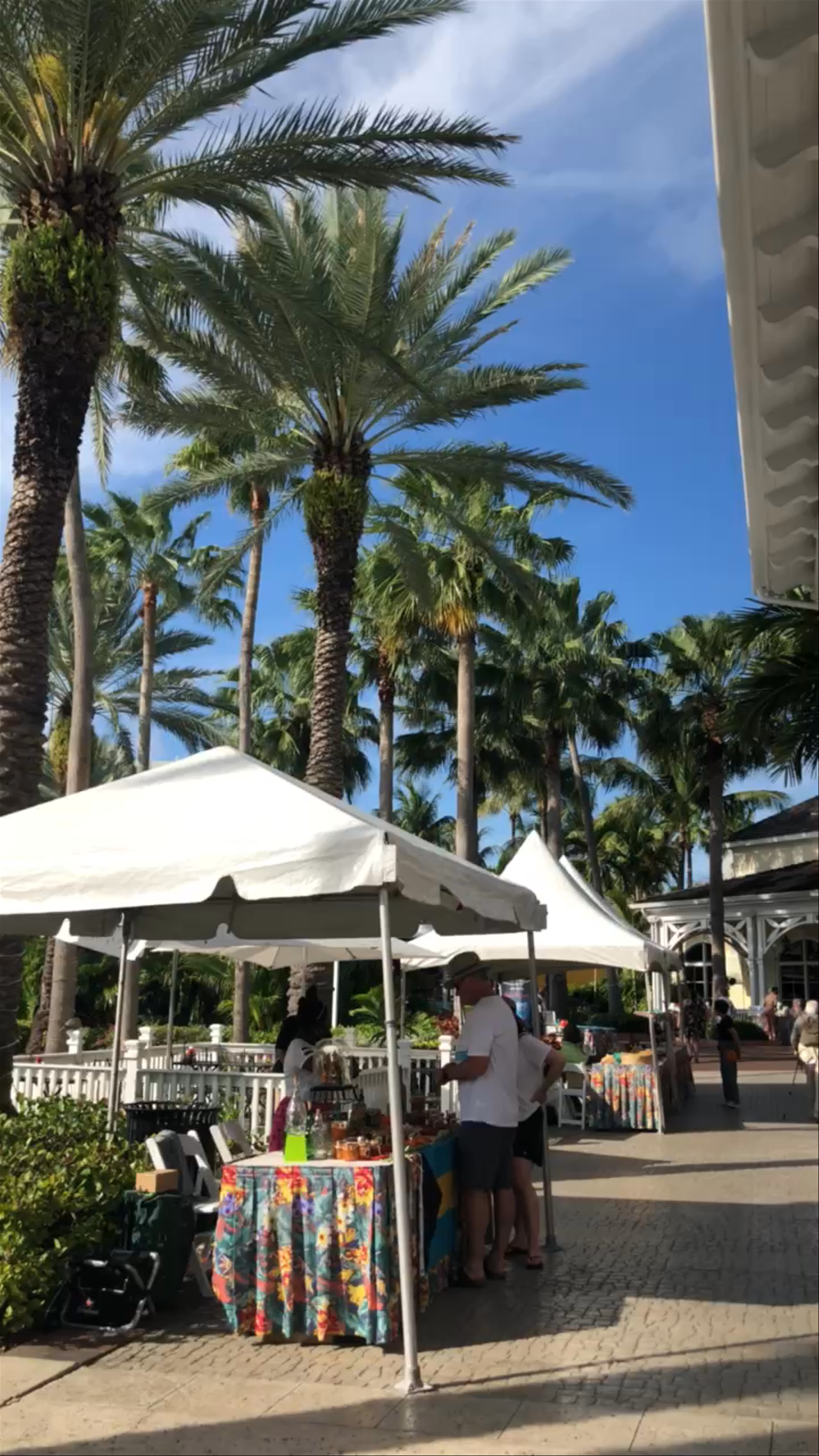 Atlantis Paradise Island Bahamas