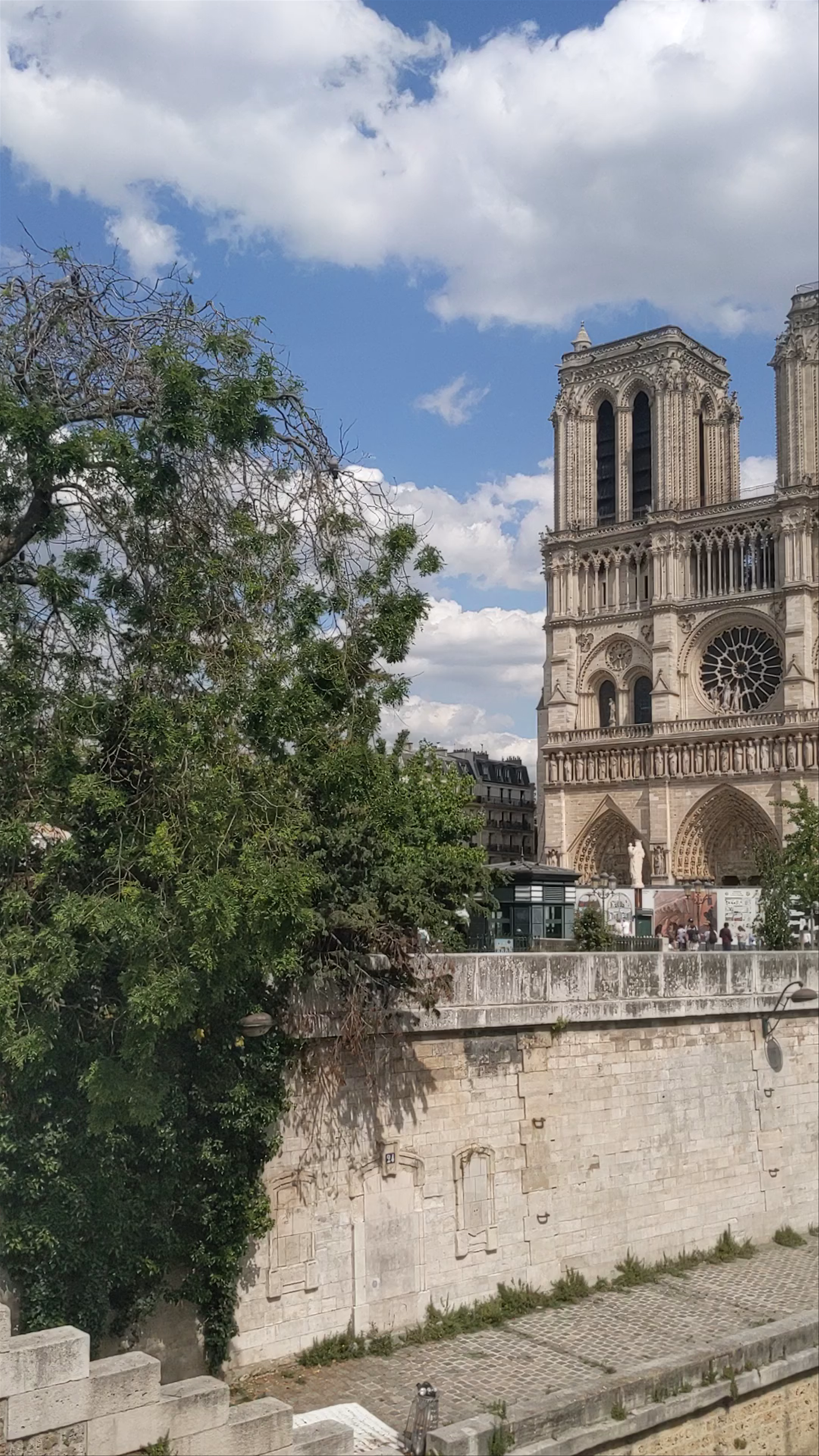Notre-Dame de Paris: Iconic Gothic Masterpiece on the Seine