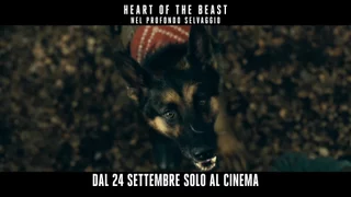 Heart of the Beast