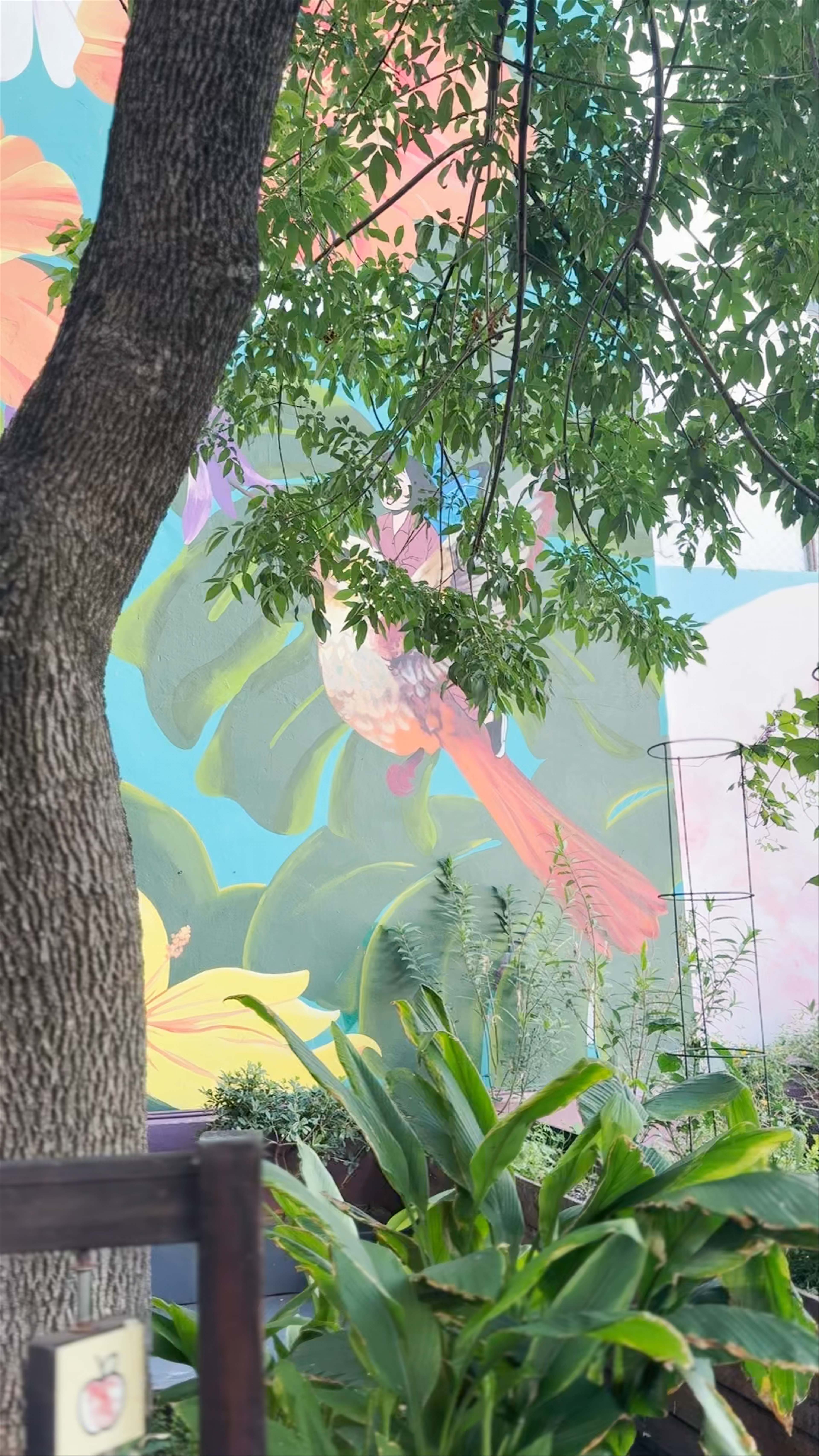 Plazoleta Luna de Enfrente