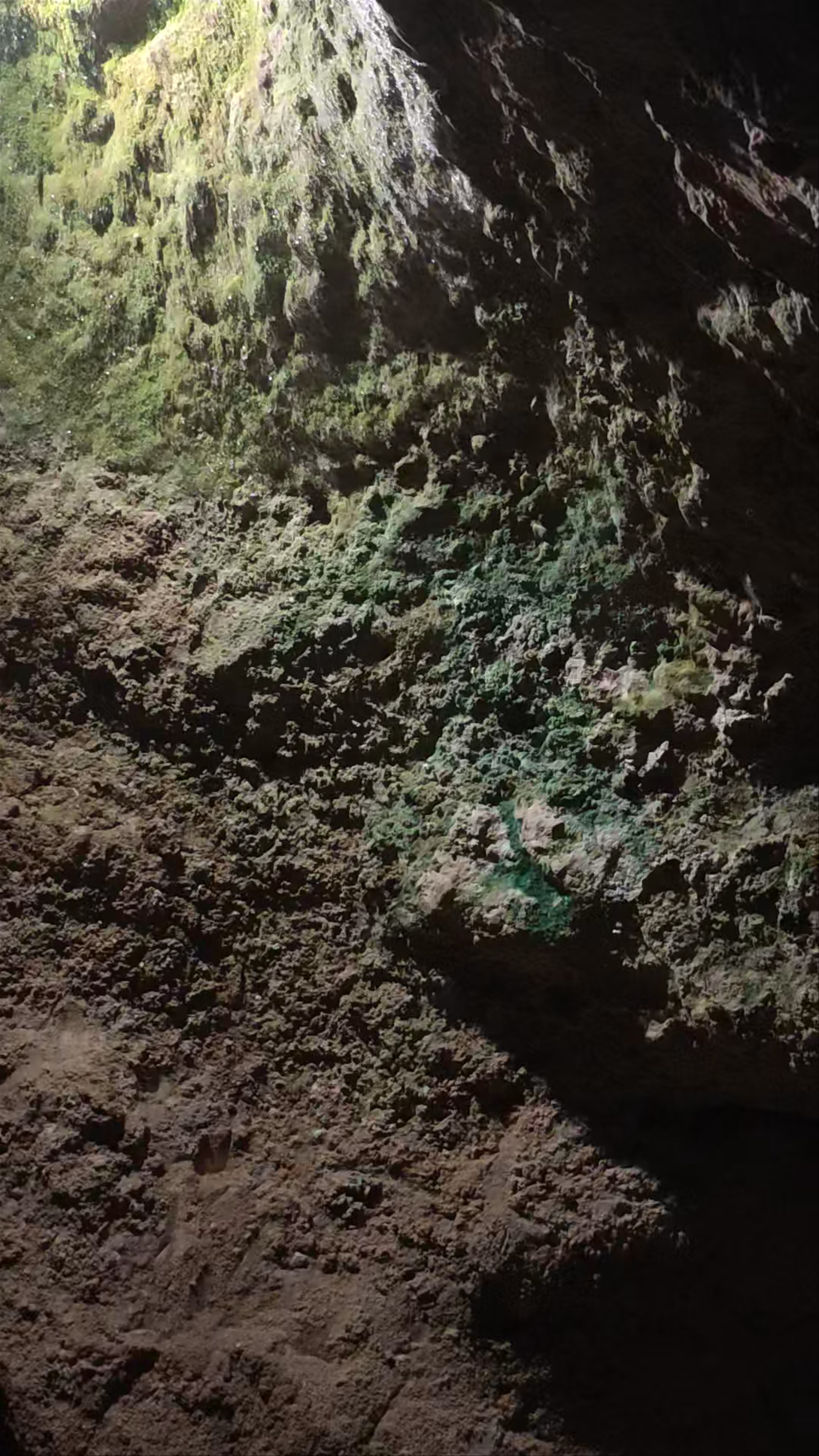 Explore the Mysterious Cuevas de la Villa in Requena, Spain