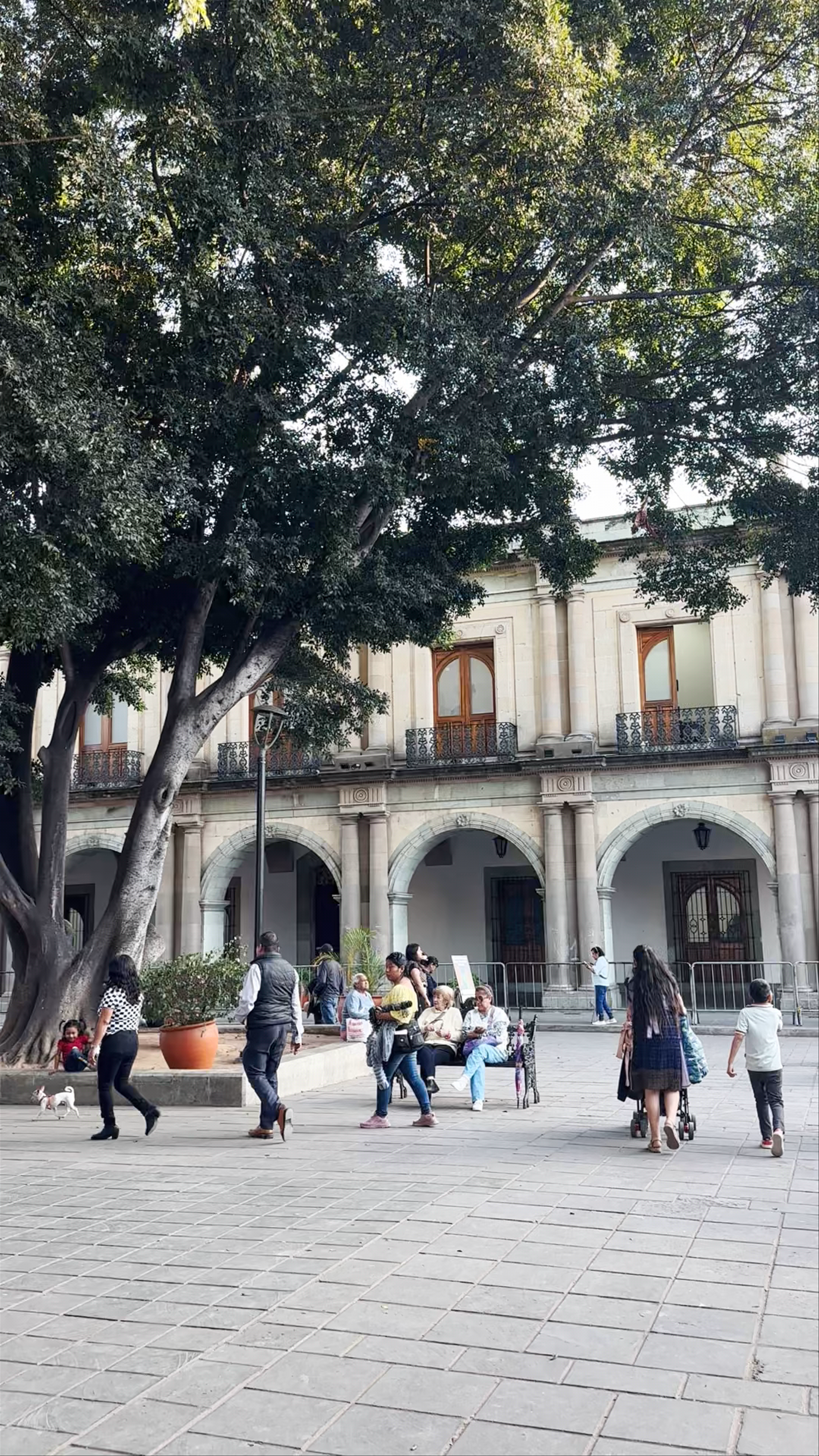 Zócalo de la Ciudad de Oaxaca