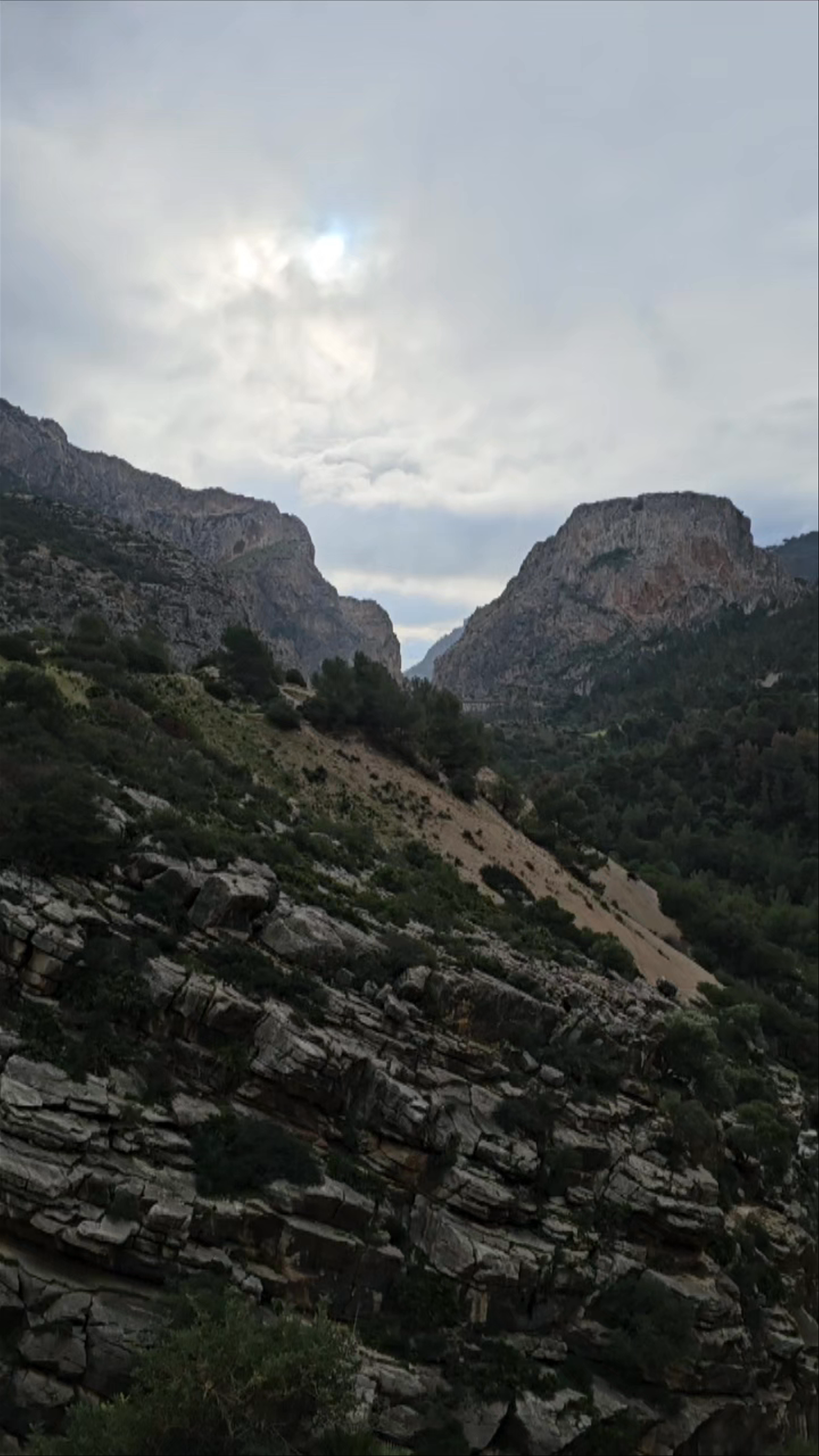 Caminito del Rey: Awe-Inspiring Gorge Adventure in Andalucía, Spain