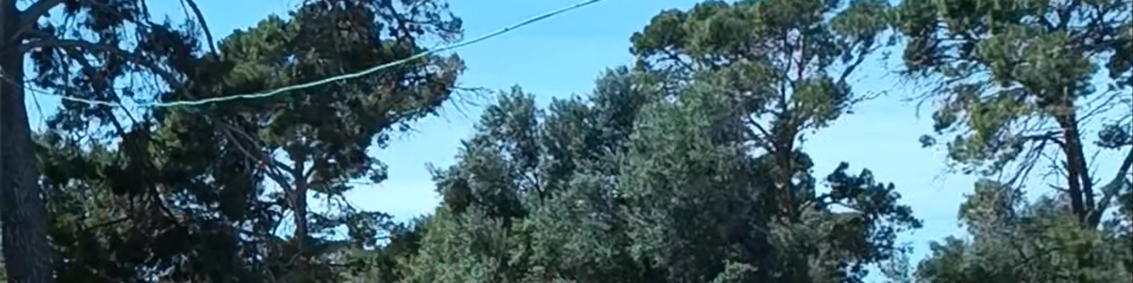 Fresopolis Mallorca