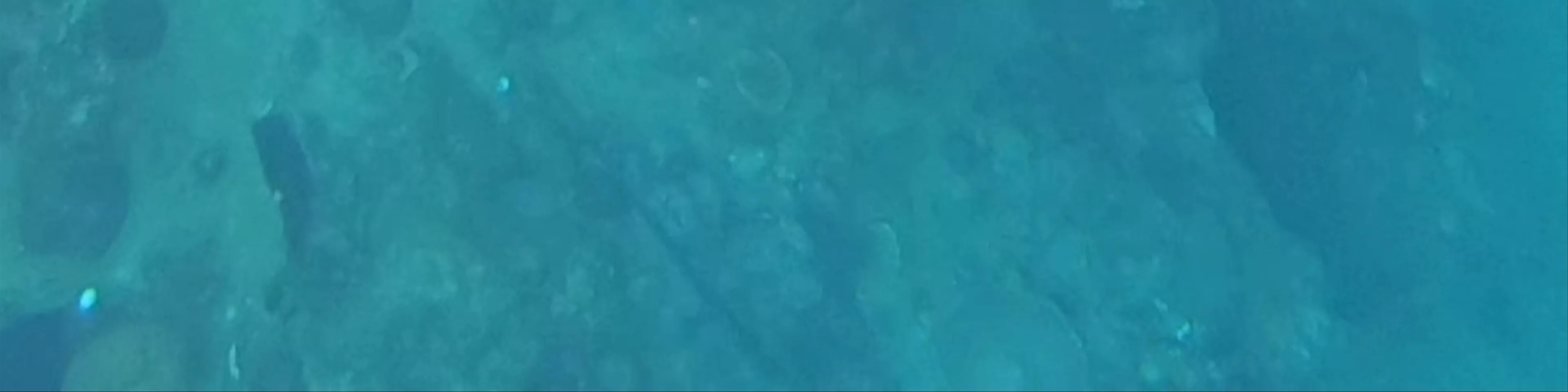 Irako Shipwreck
