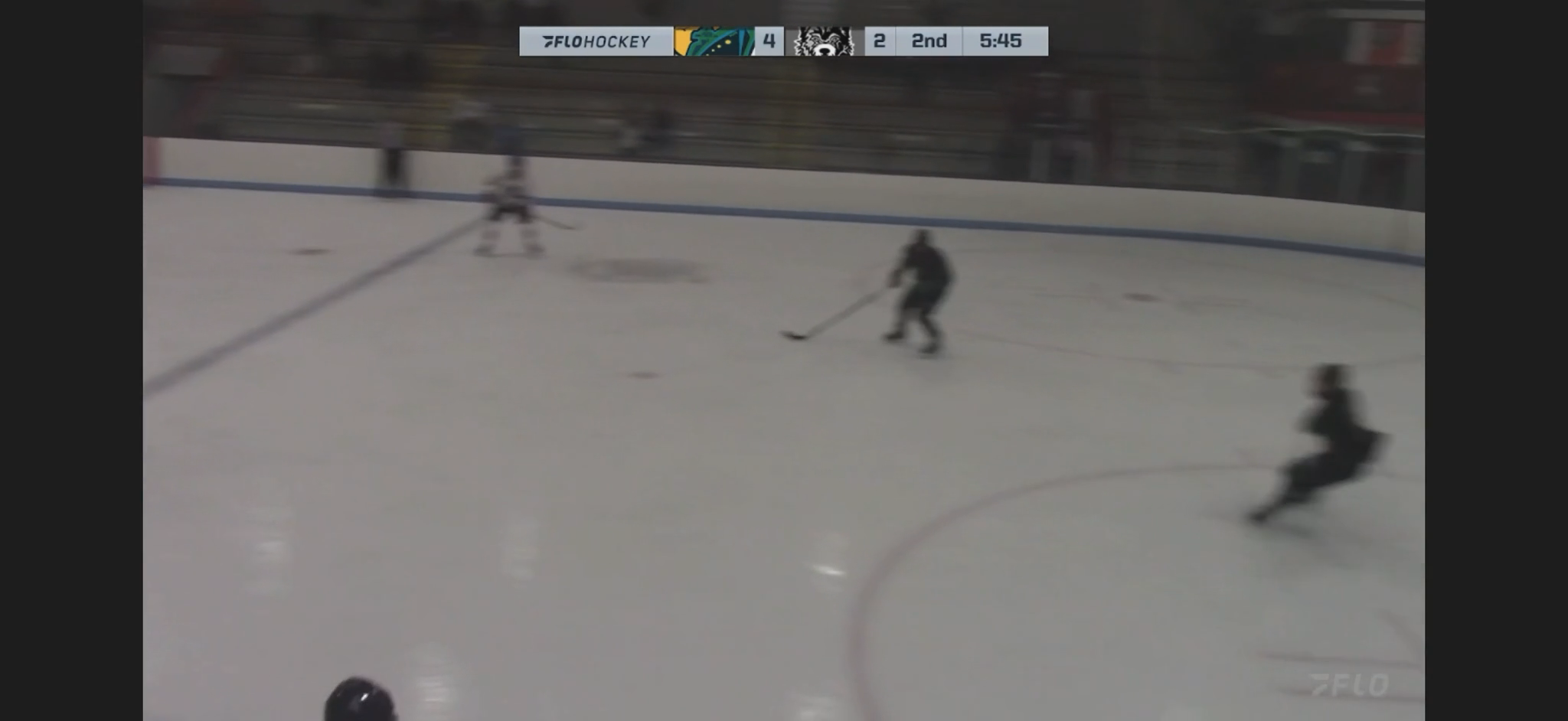 Matej Kraus: Offensive Highlights from the New England Wolves