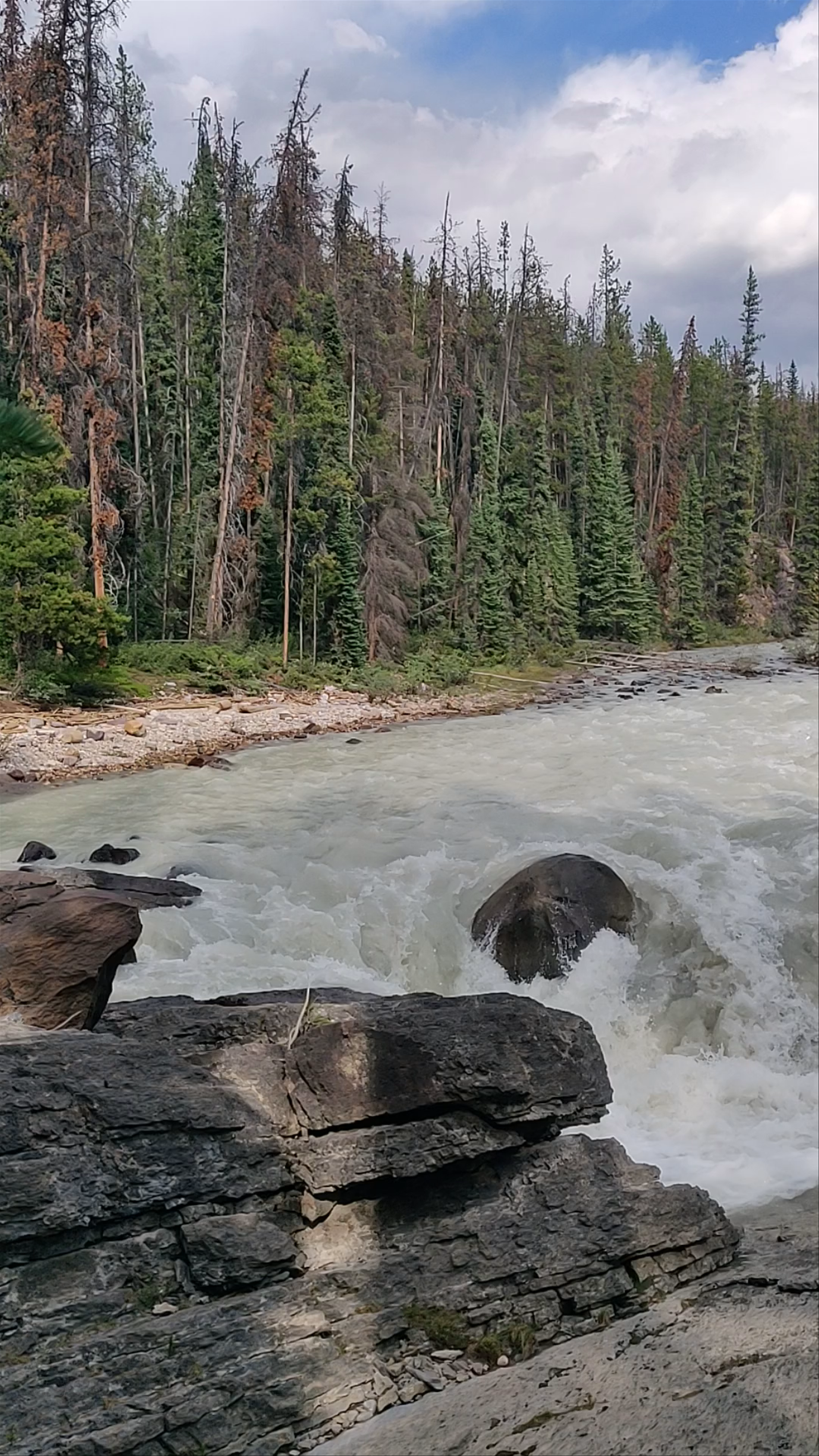 Lower Sunwapta Falls