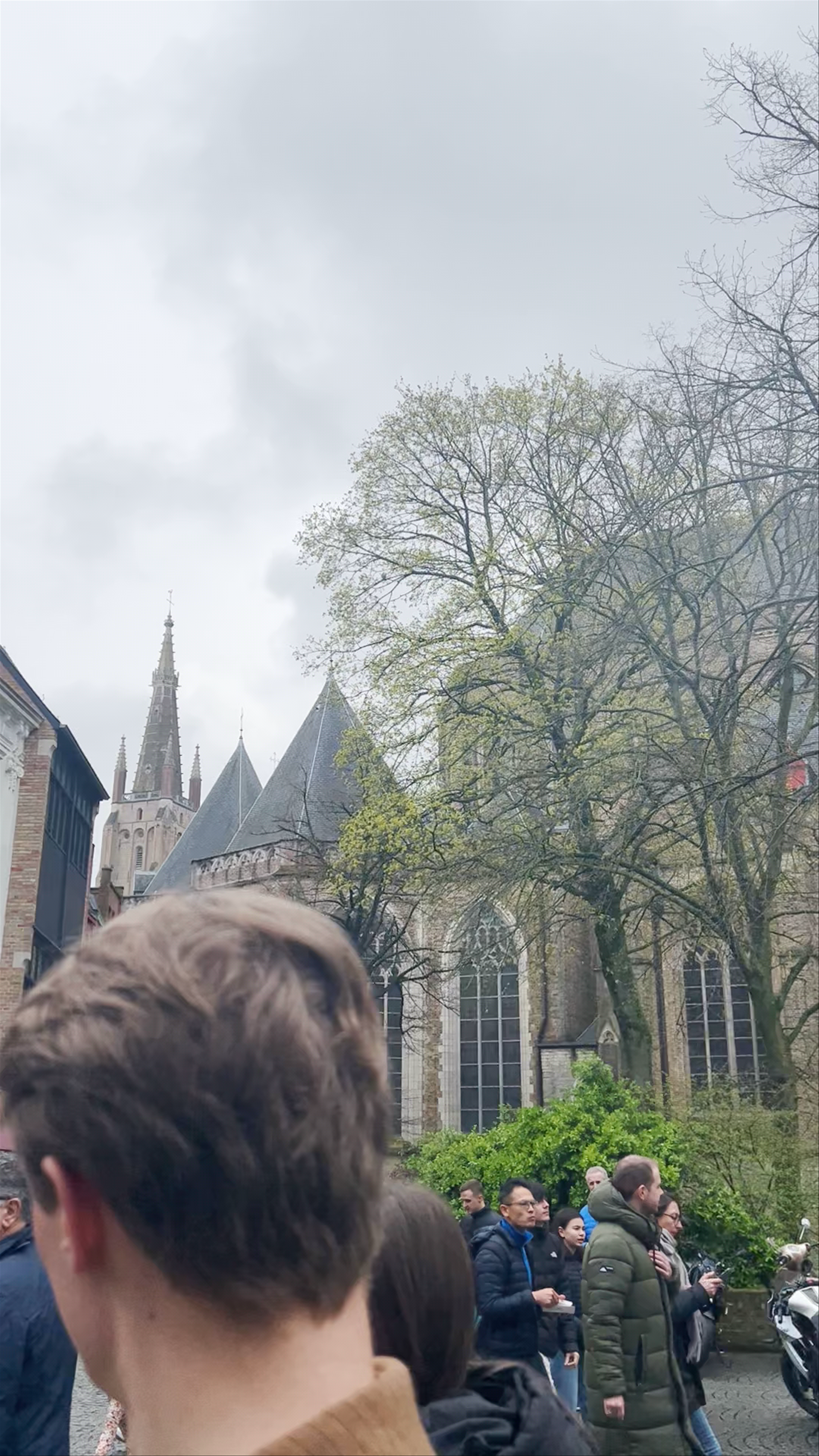 Sint-Salvatorskathedraal