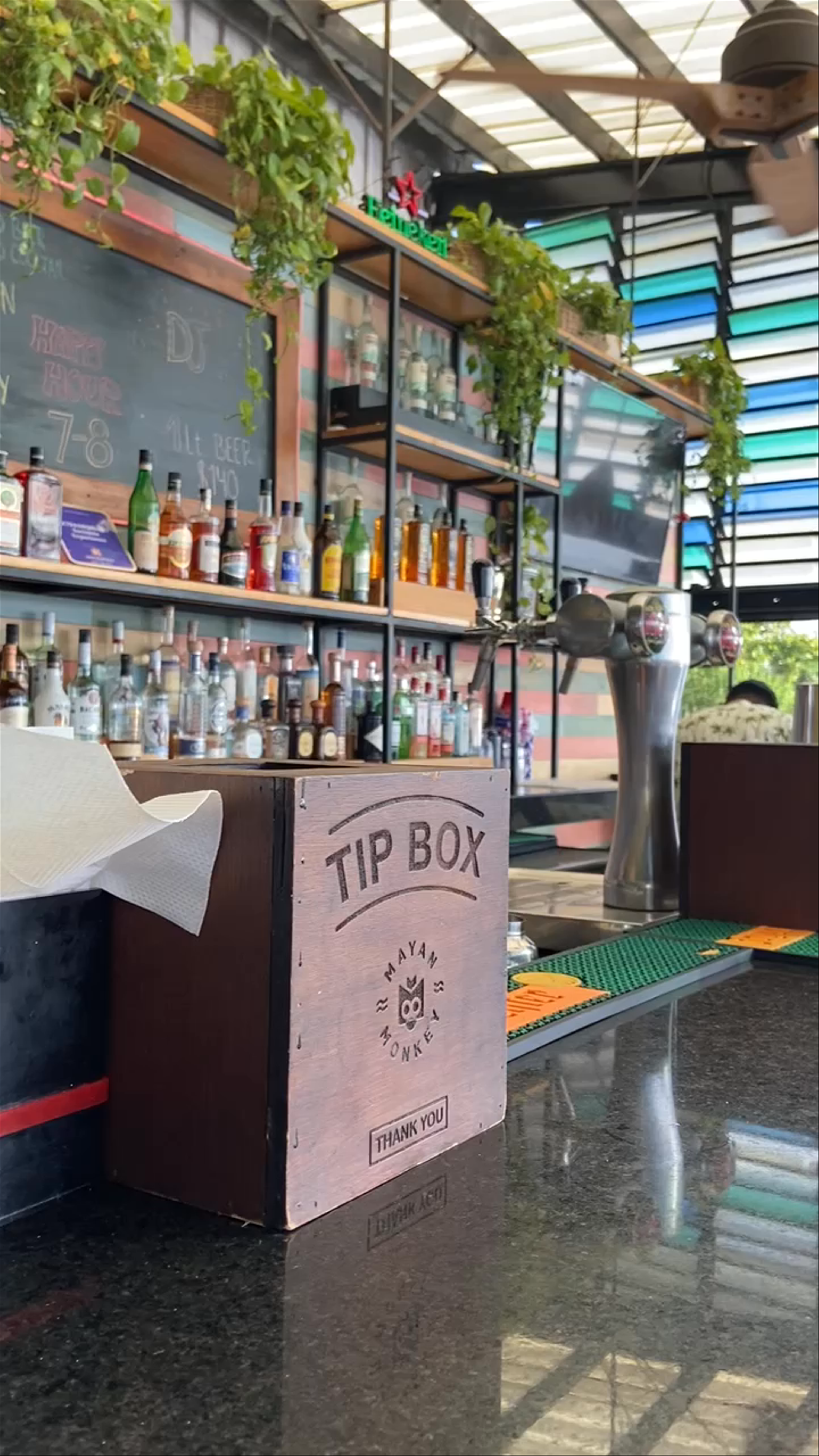 Mayan Monkey Hostel Bar & Terrace Vibes in Tulum