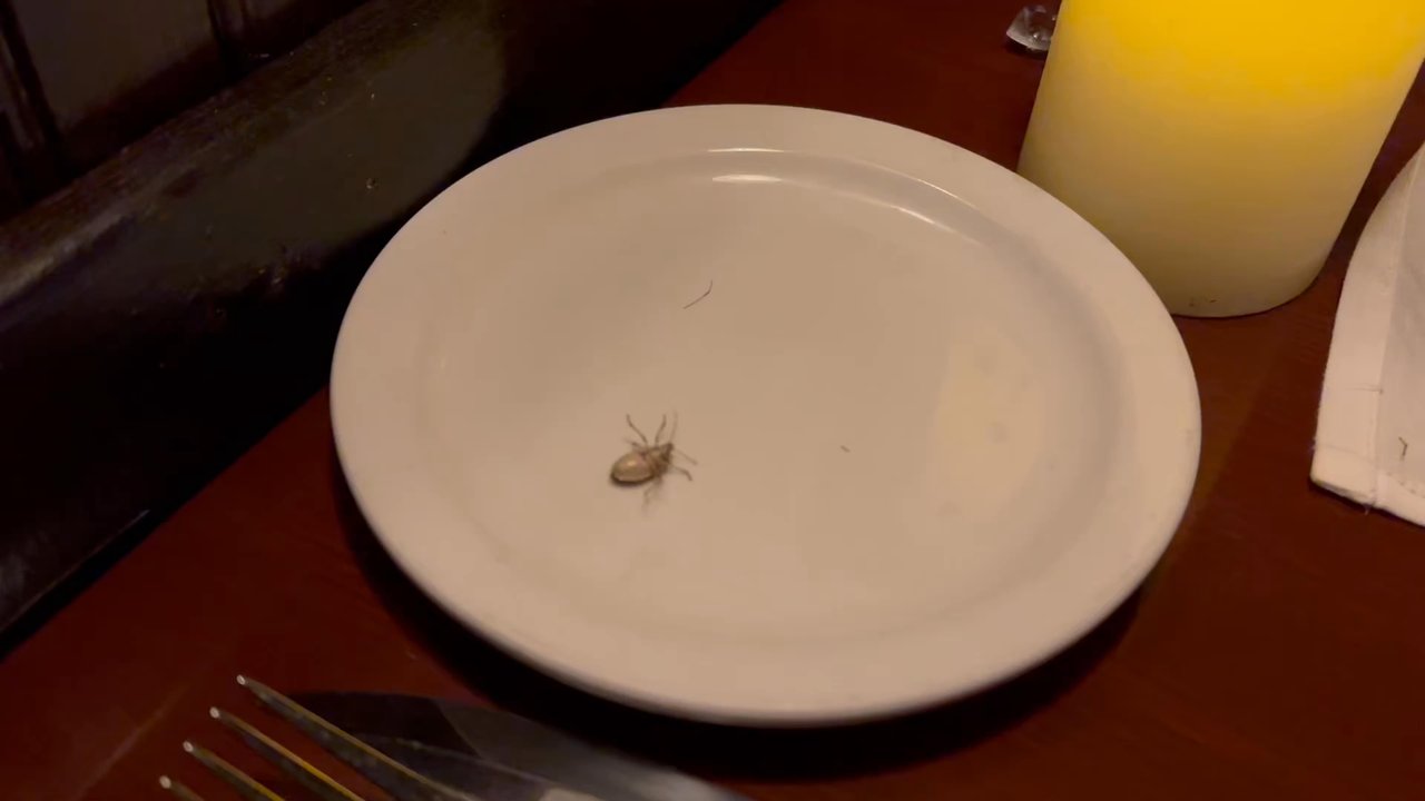 Stables Steakhouse - As you can see, the bug is alive. SMH! - Steakhouses Near Me - Terre Haute, Indiana