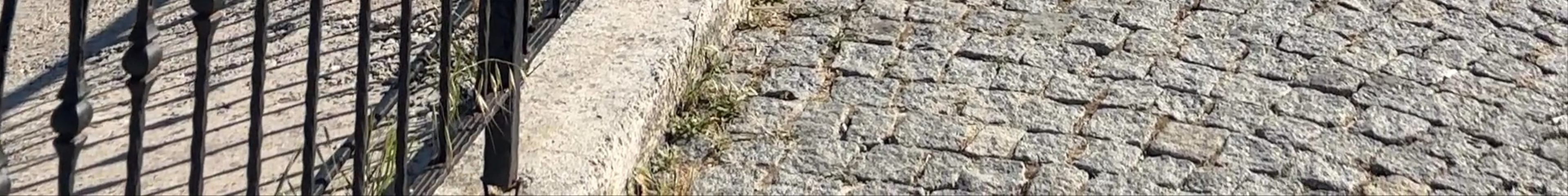 Tours & experiences in Alaçatı