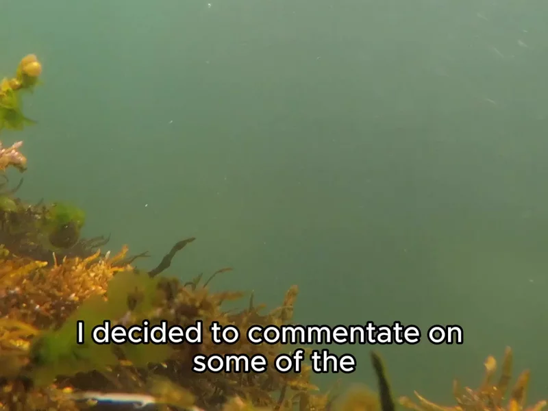 Snorkelpal