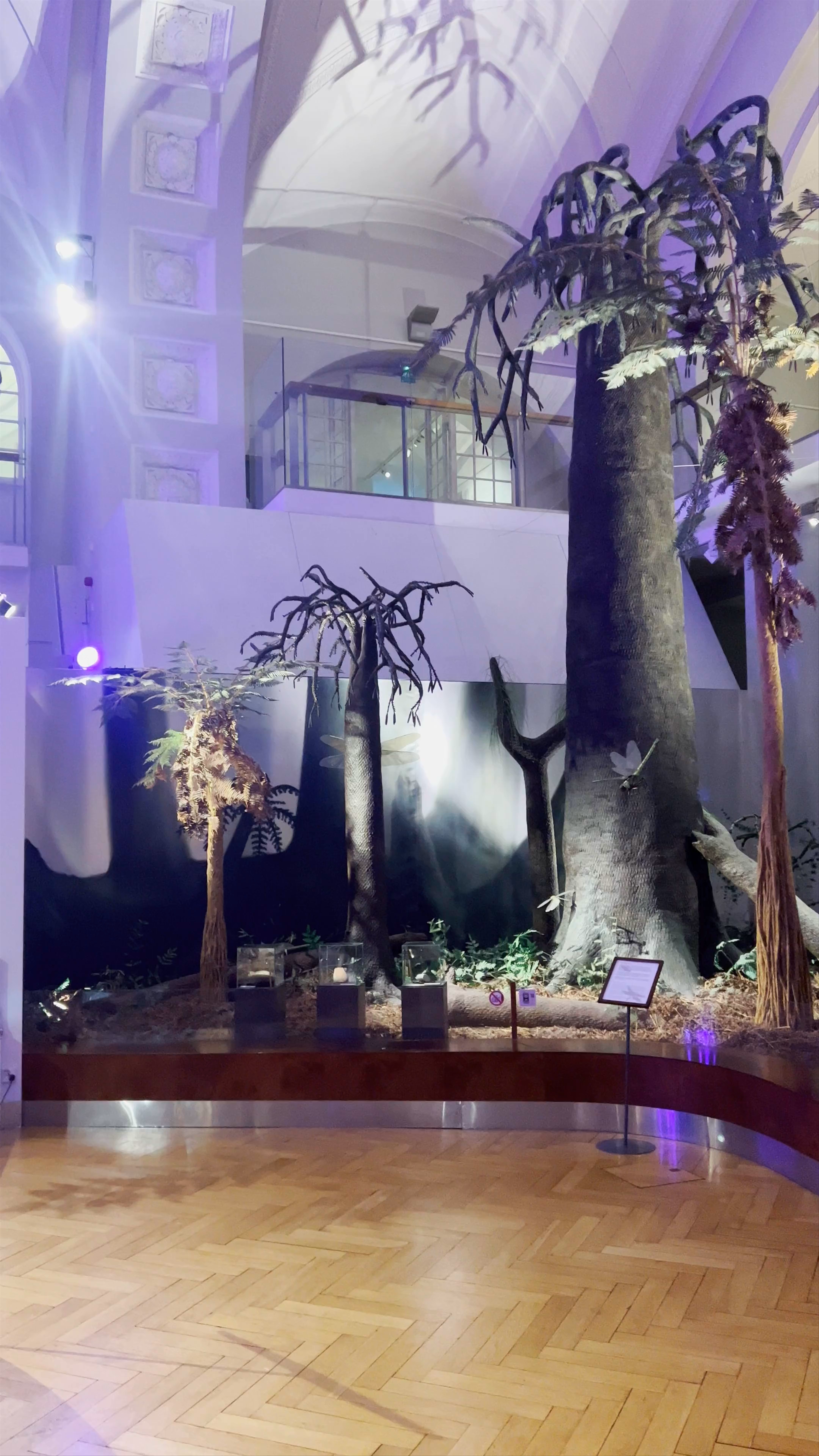 Finnish Museum of Natural History