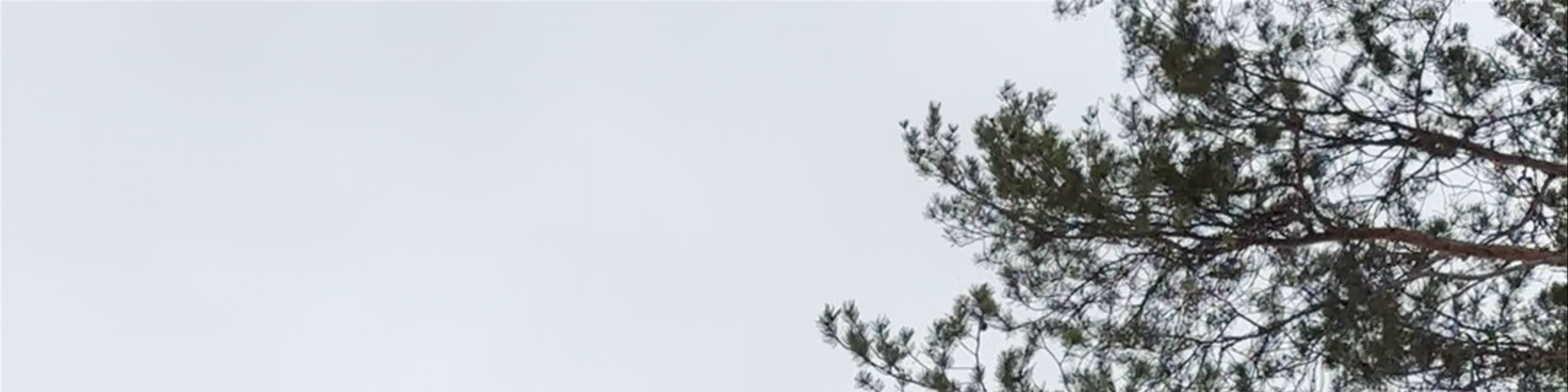 Rovaniemi