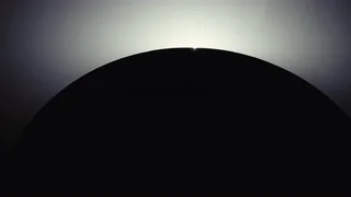 Matières Fecales - © Artlist