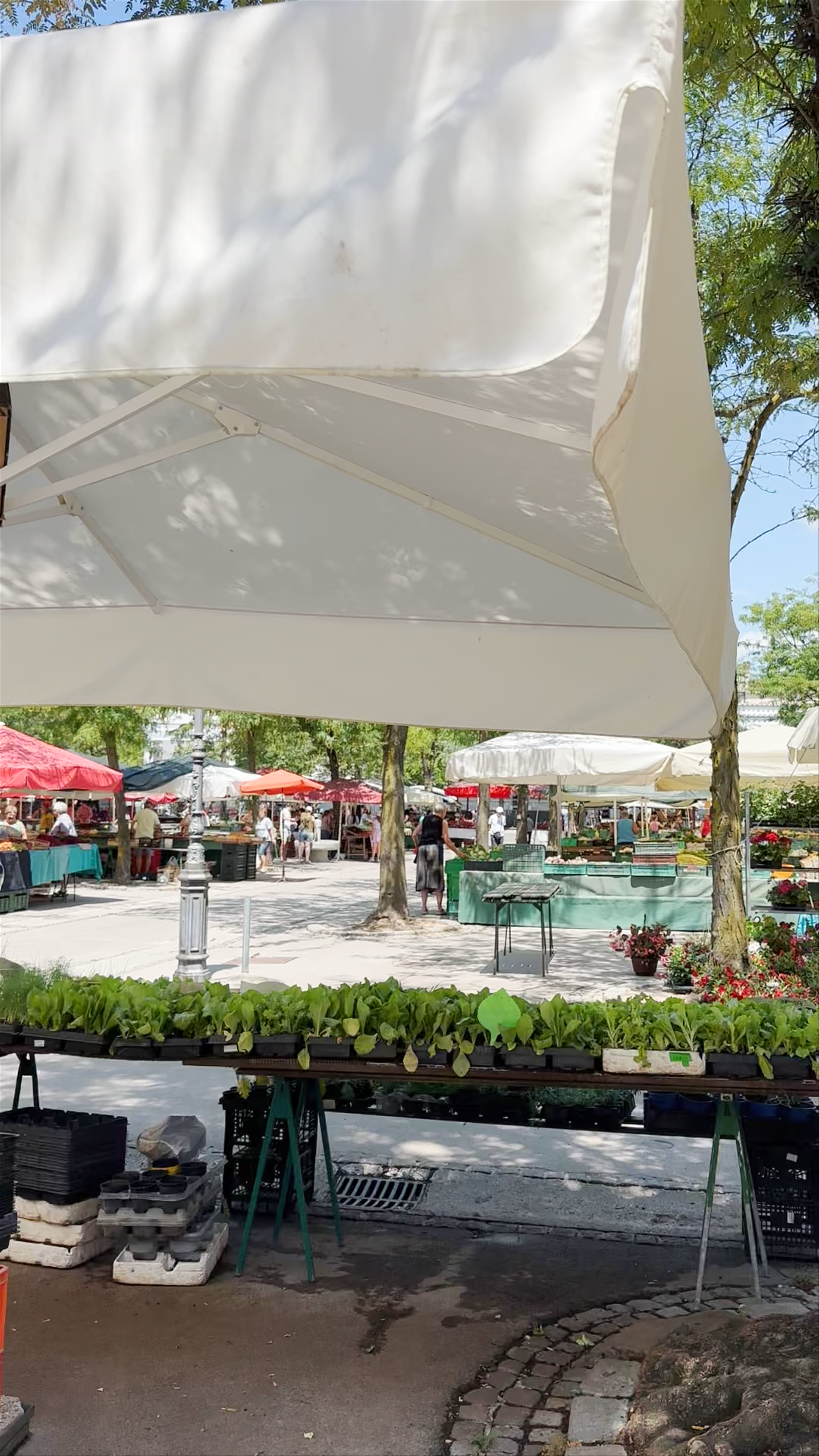 Spomenik Valentina Vodnika: A Historic Landmark in Ljubljana's Vibrant Open Market