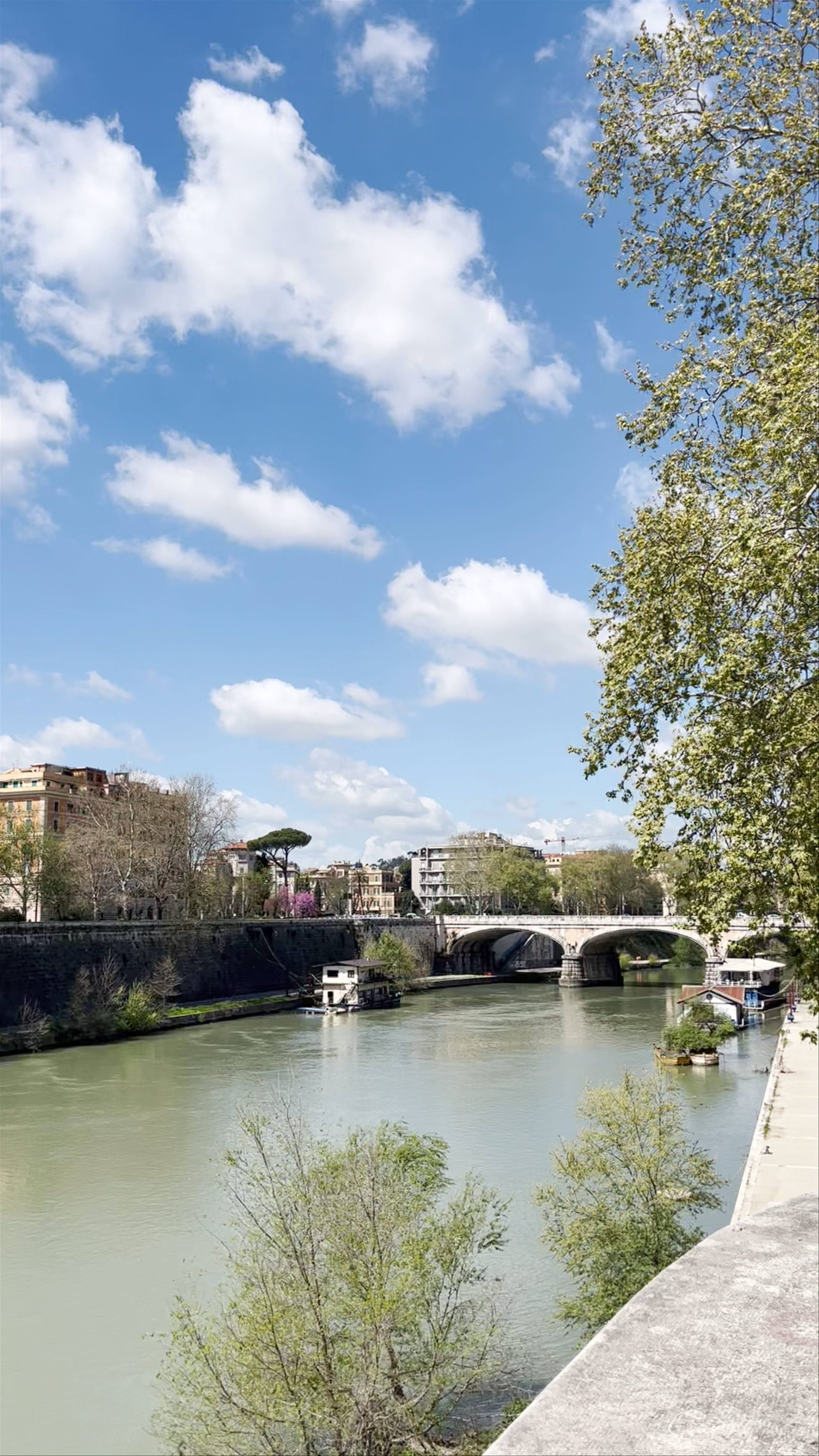 Serene Spring Days Along the Tiber River in Rome, Italy