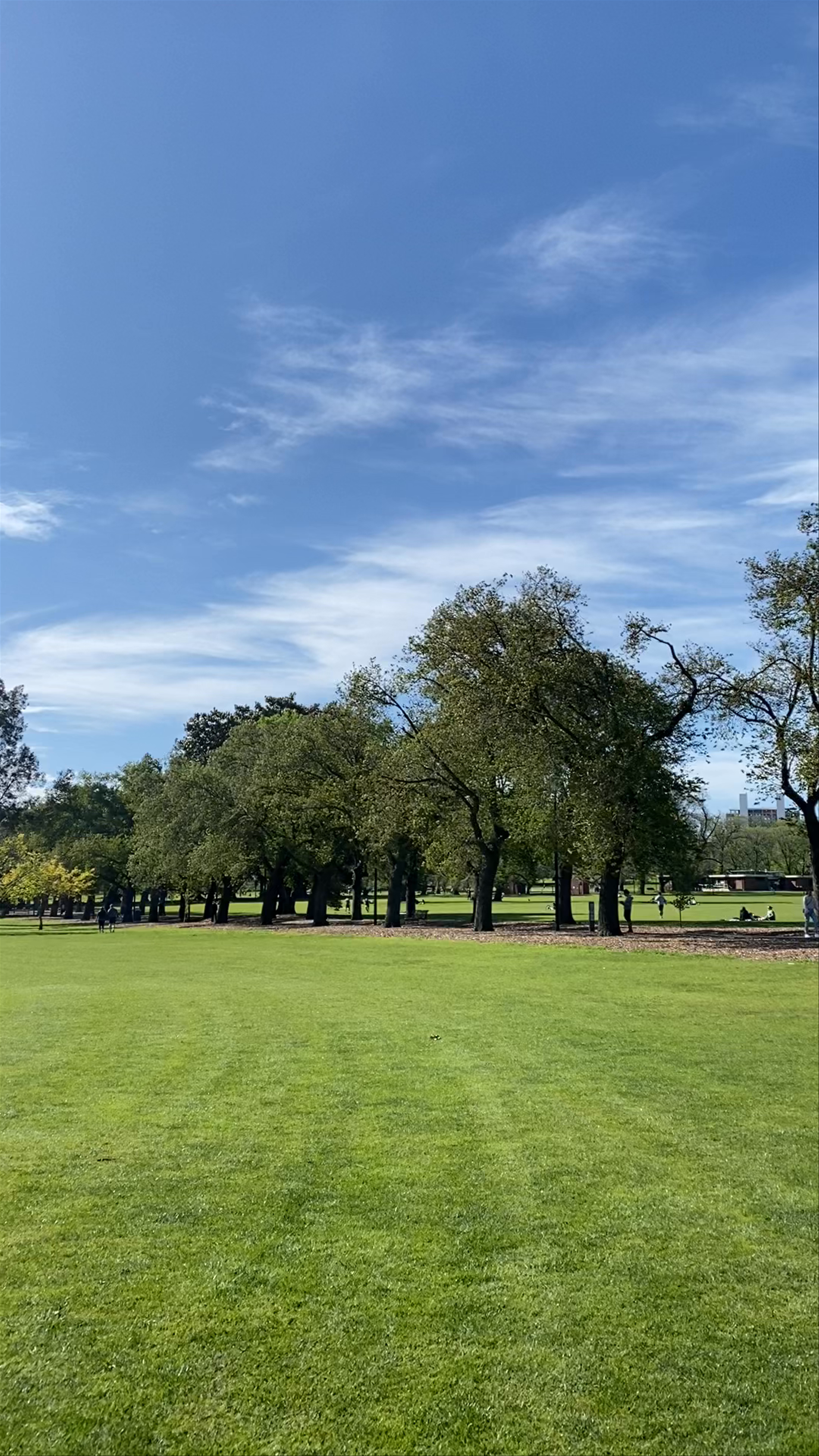 Fawkner Park: Urban Green Escape in South Yarra, Melbourne