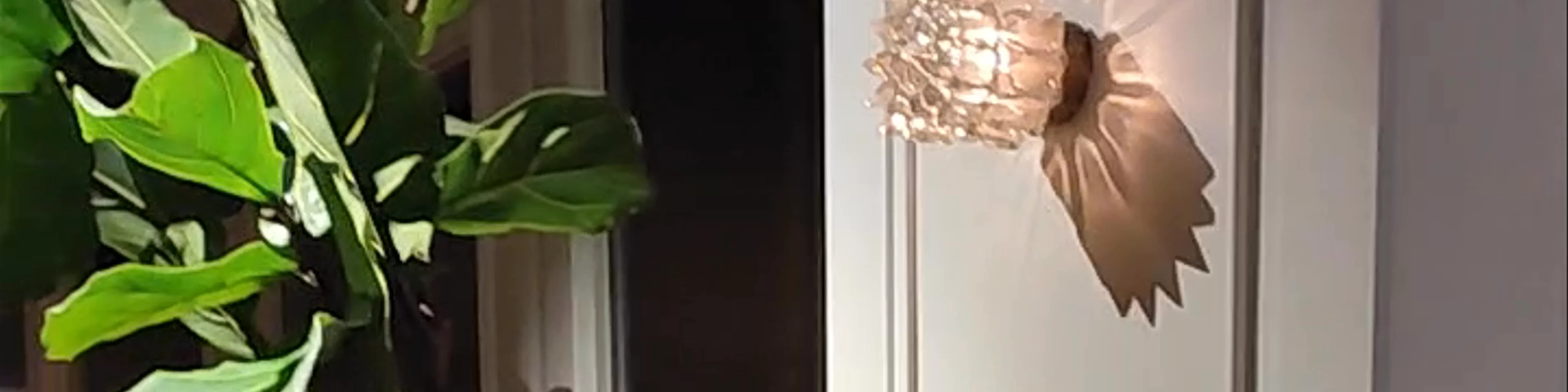 Ark