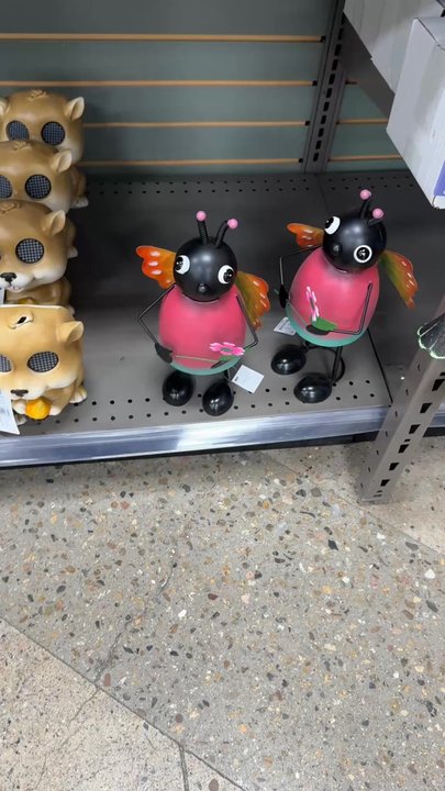 Ace Hardware Longmont - This whimsical dancing ladybug is killing me! - Hardware Stores Near Me - Longmont, Colorado