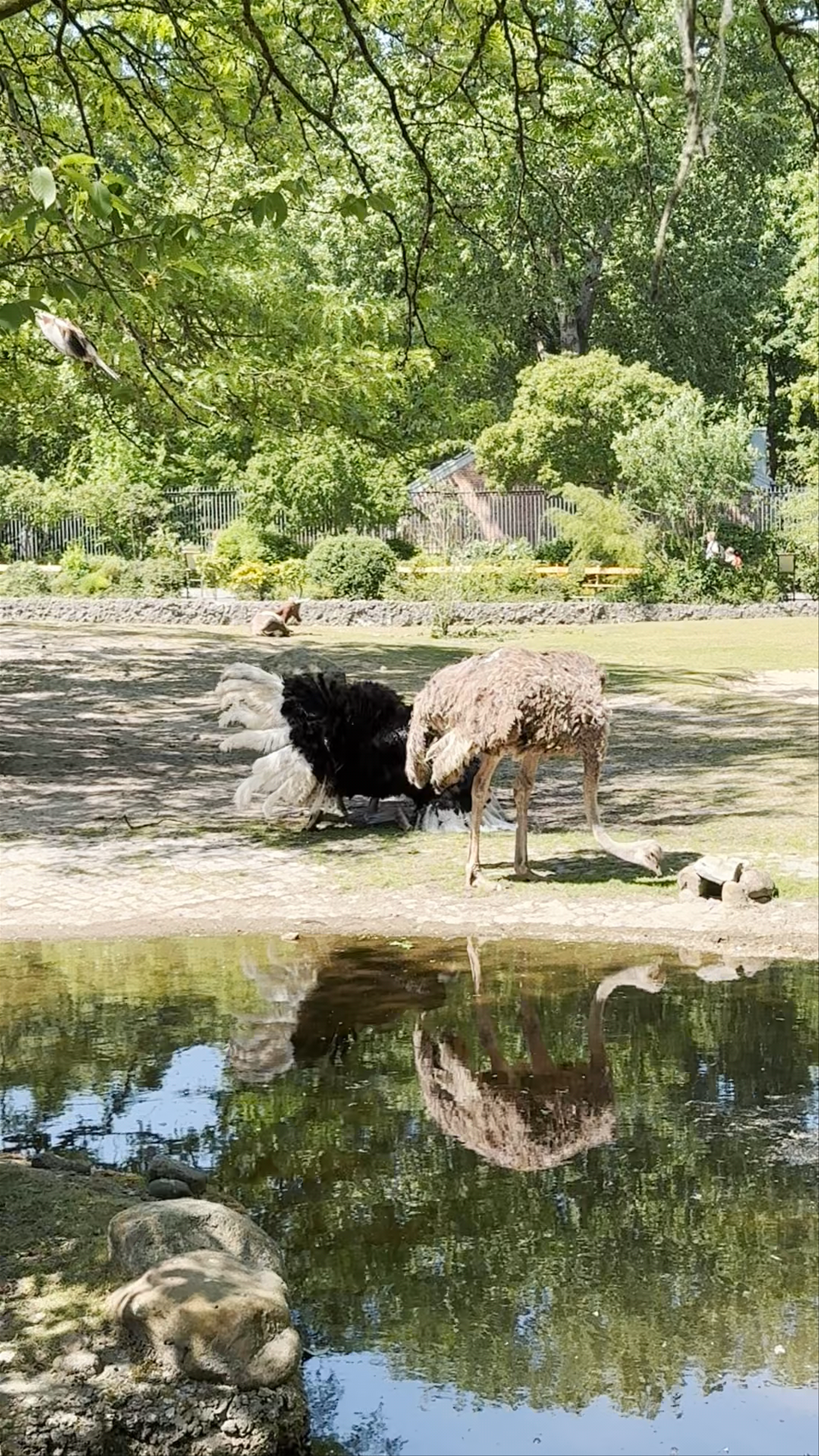 Berlin Zoological Garden