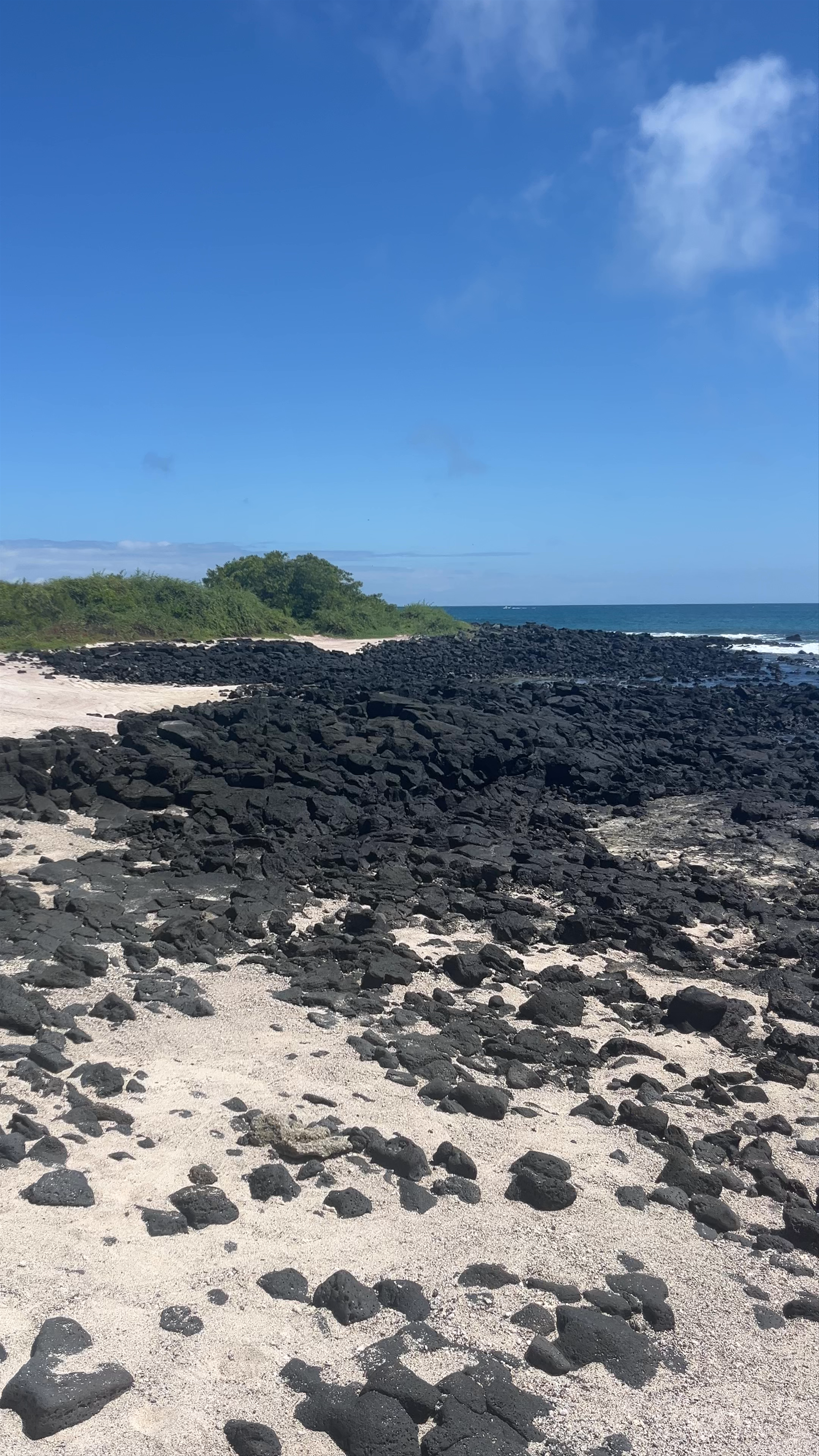 Black Lava Shores of La Ratonera, Puerto Ayora, Ecuador
