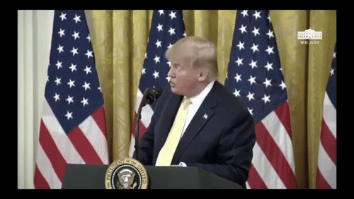 Video Thumbnail Loop