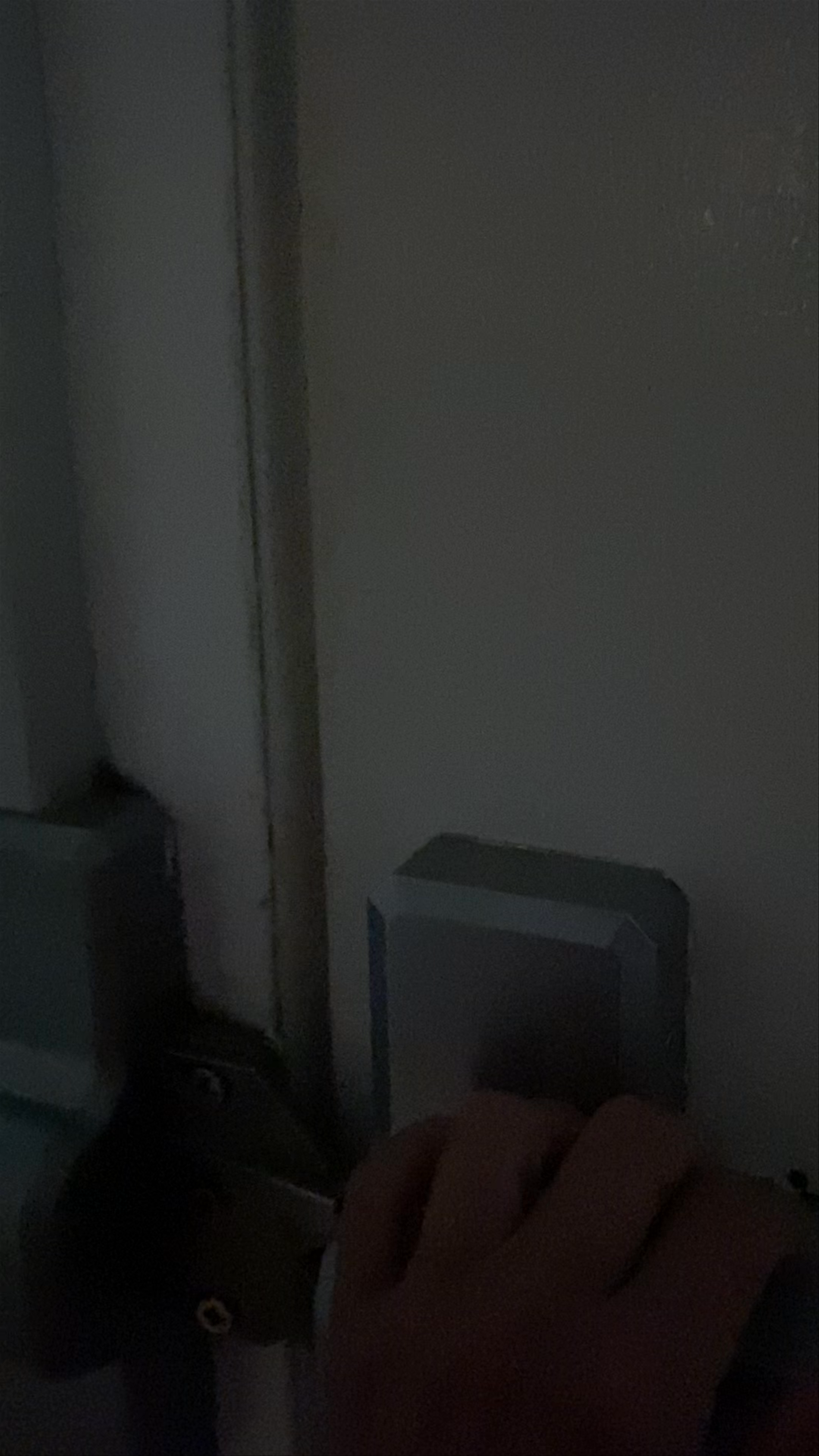 The Key West Butterfly and Nature Conservatory