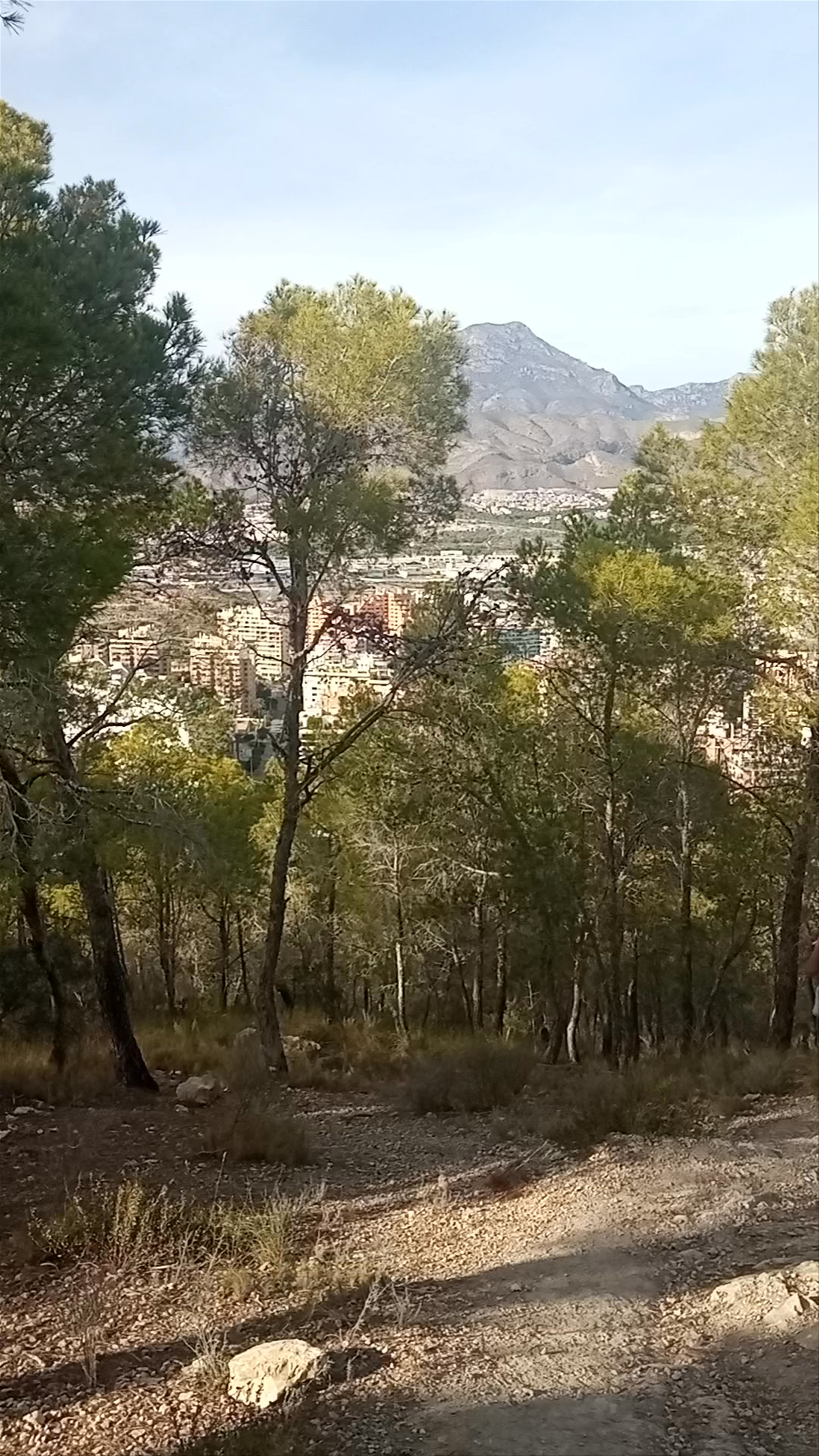 Torre El Aguiló