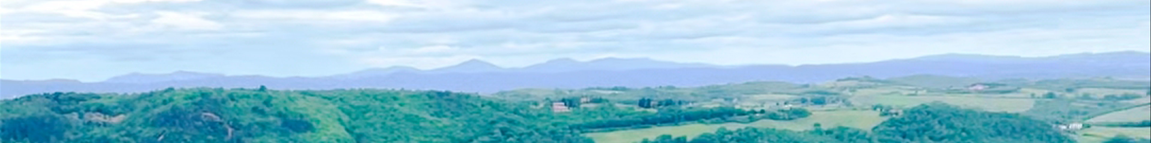 Tours & experiences in Montepulciano